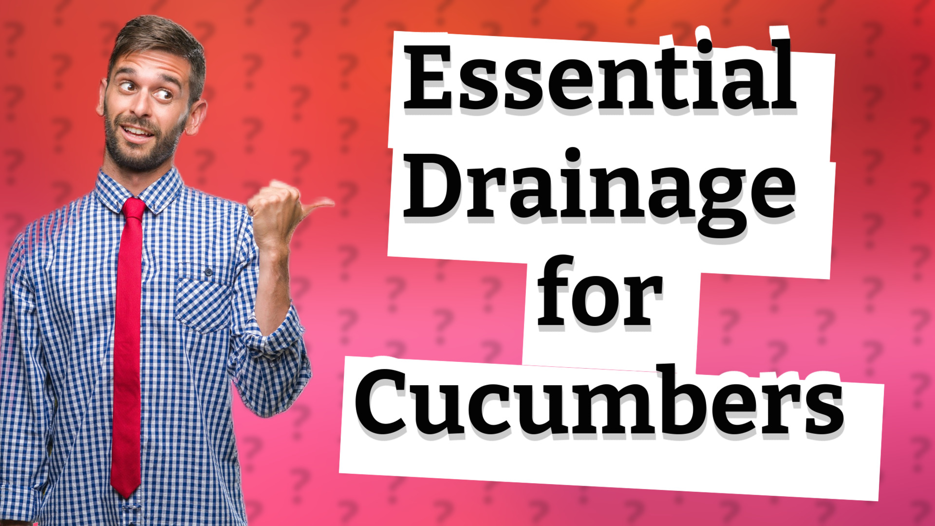 Essential Drainage for Cucumbers