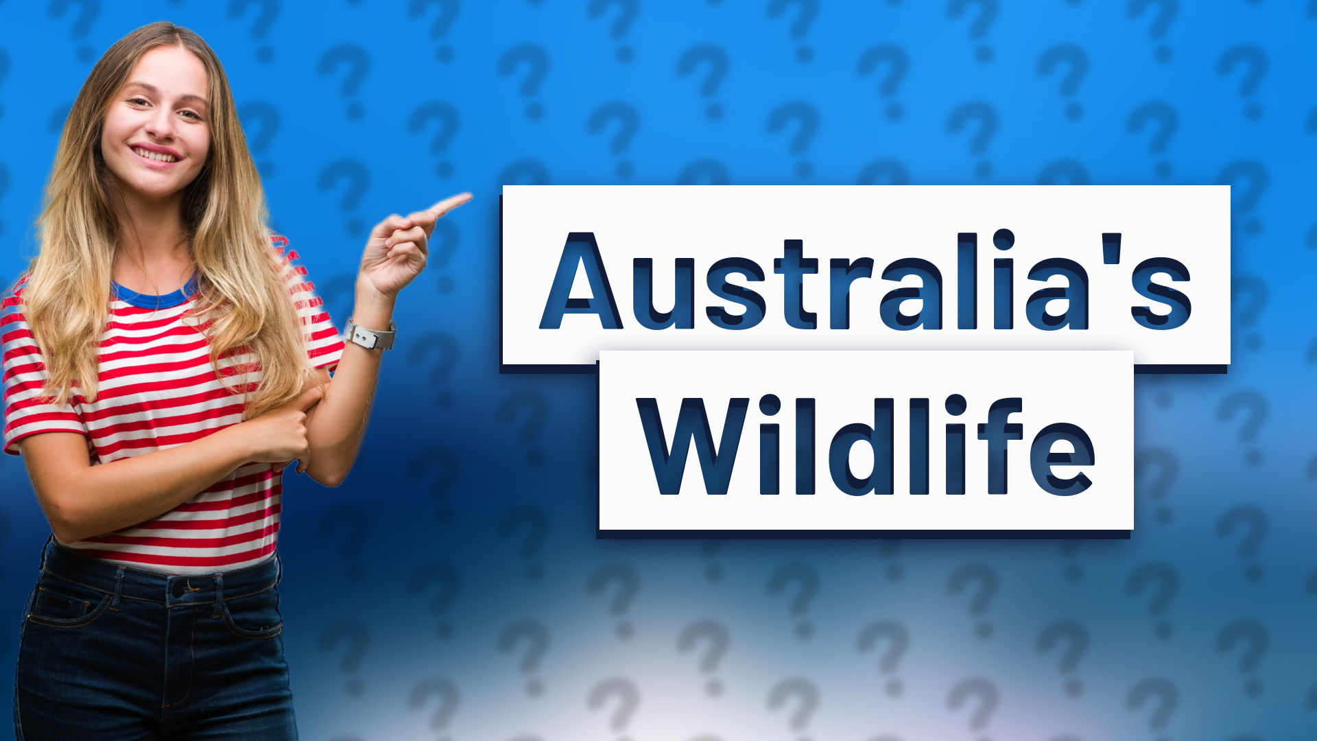 Australia's Wildlife