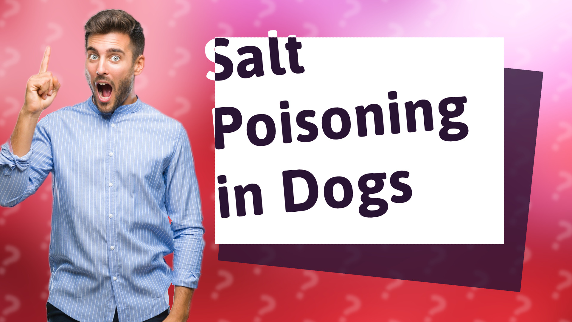 Salt Poisoning in Dogs