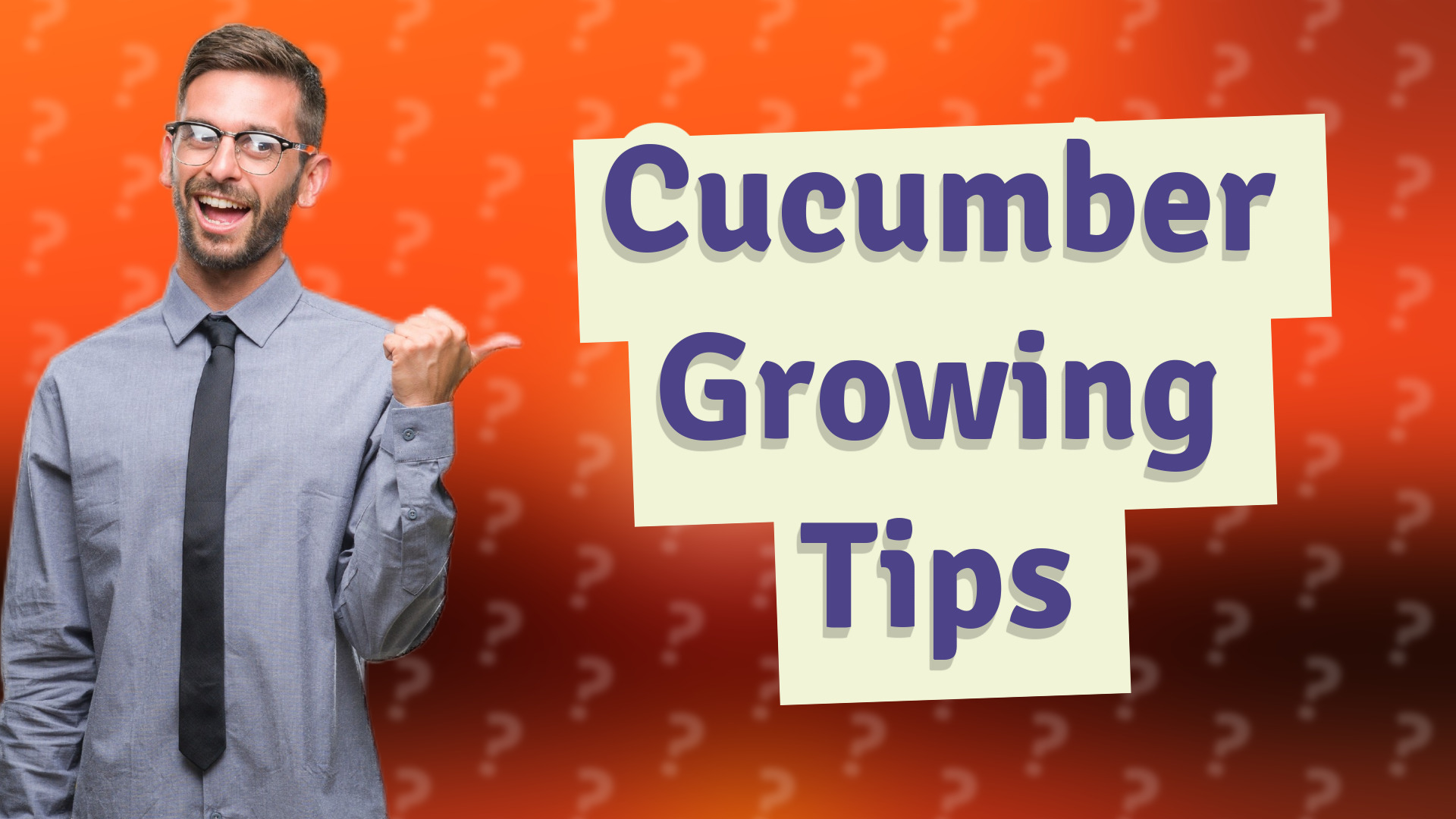 Cucumber Growing Tips