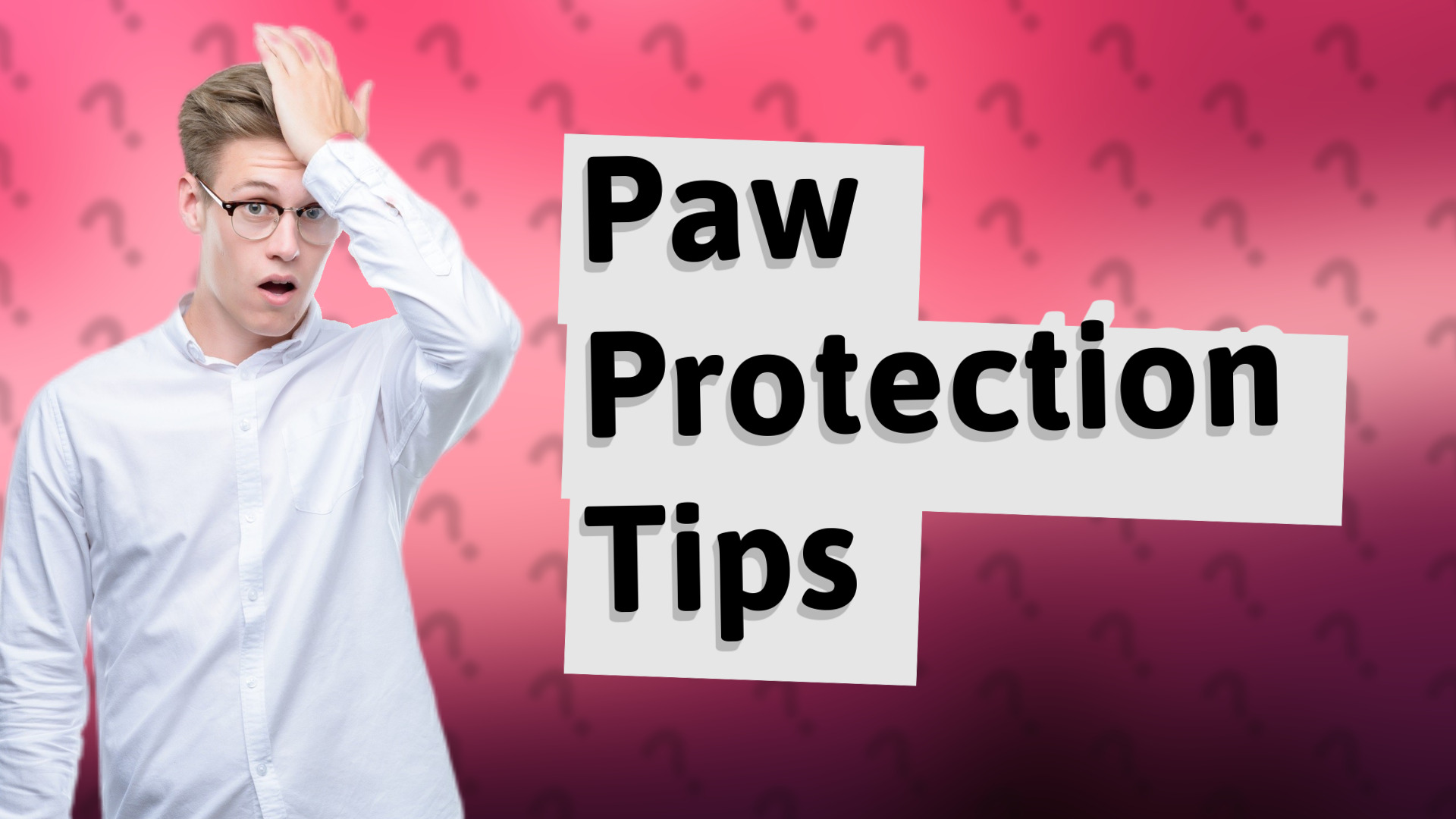 Paw Protection Tips