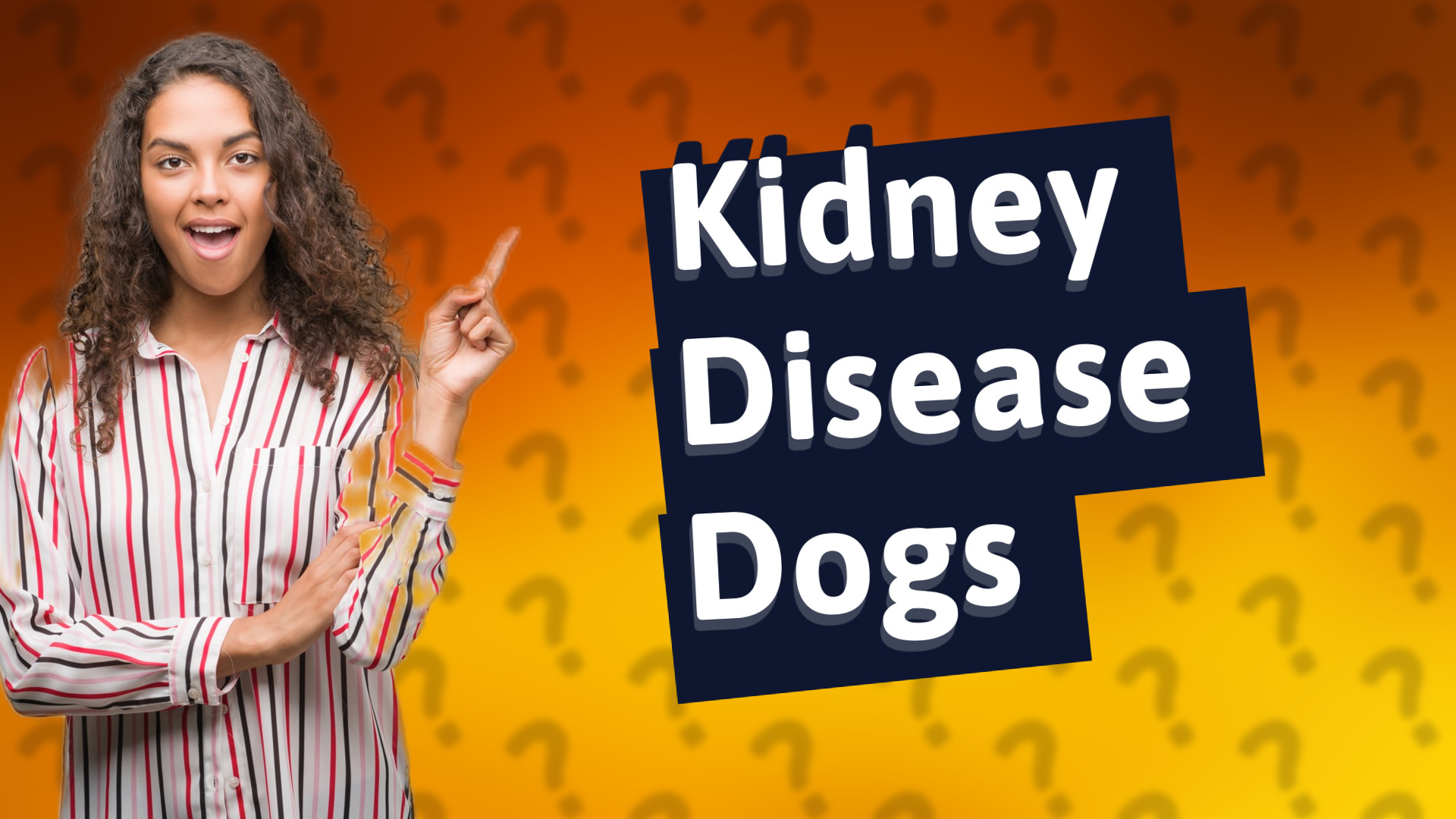 Kidney Disease Dogs