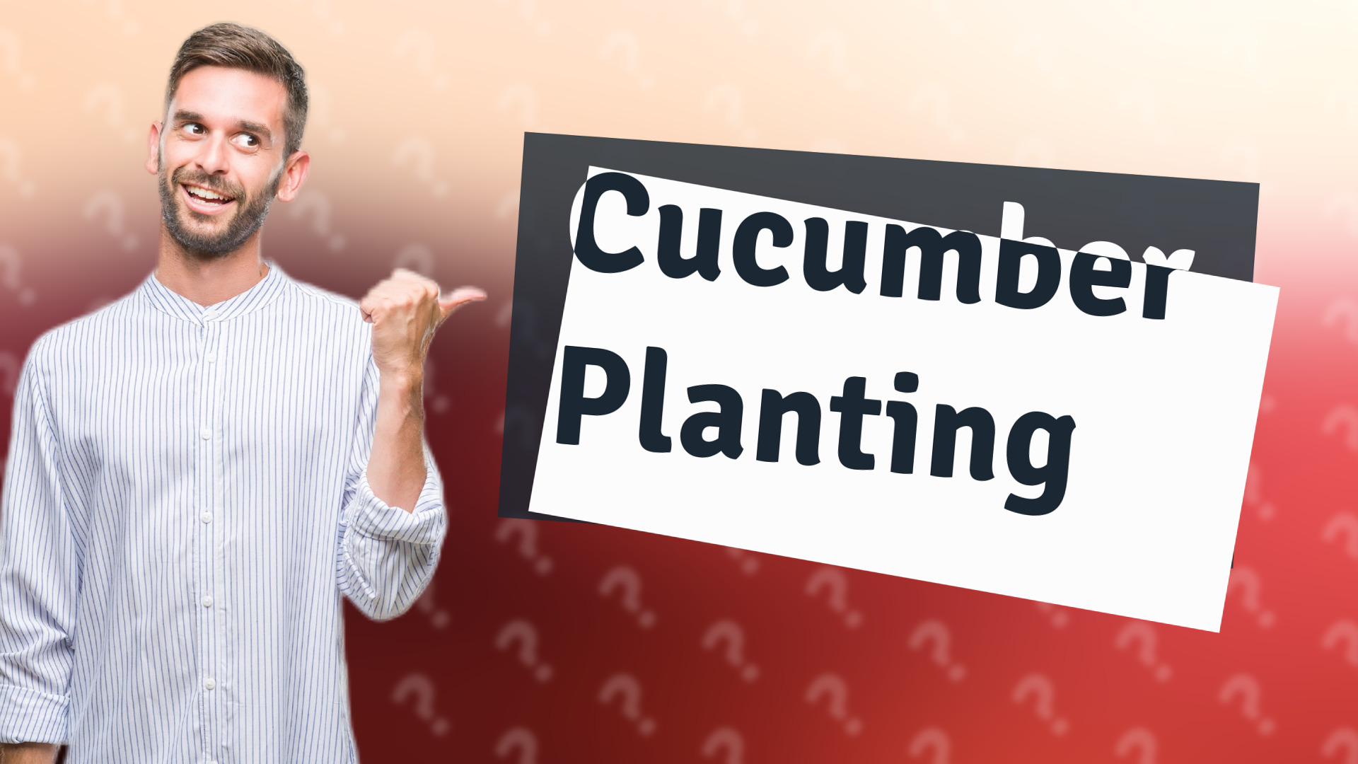 Cucumber Planting