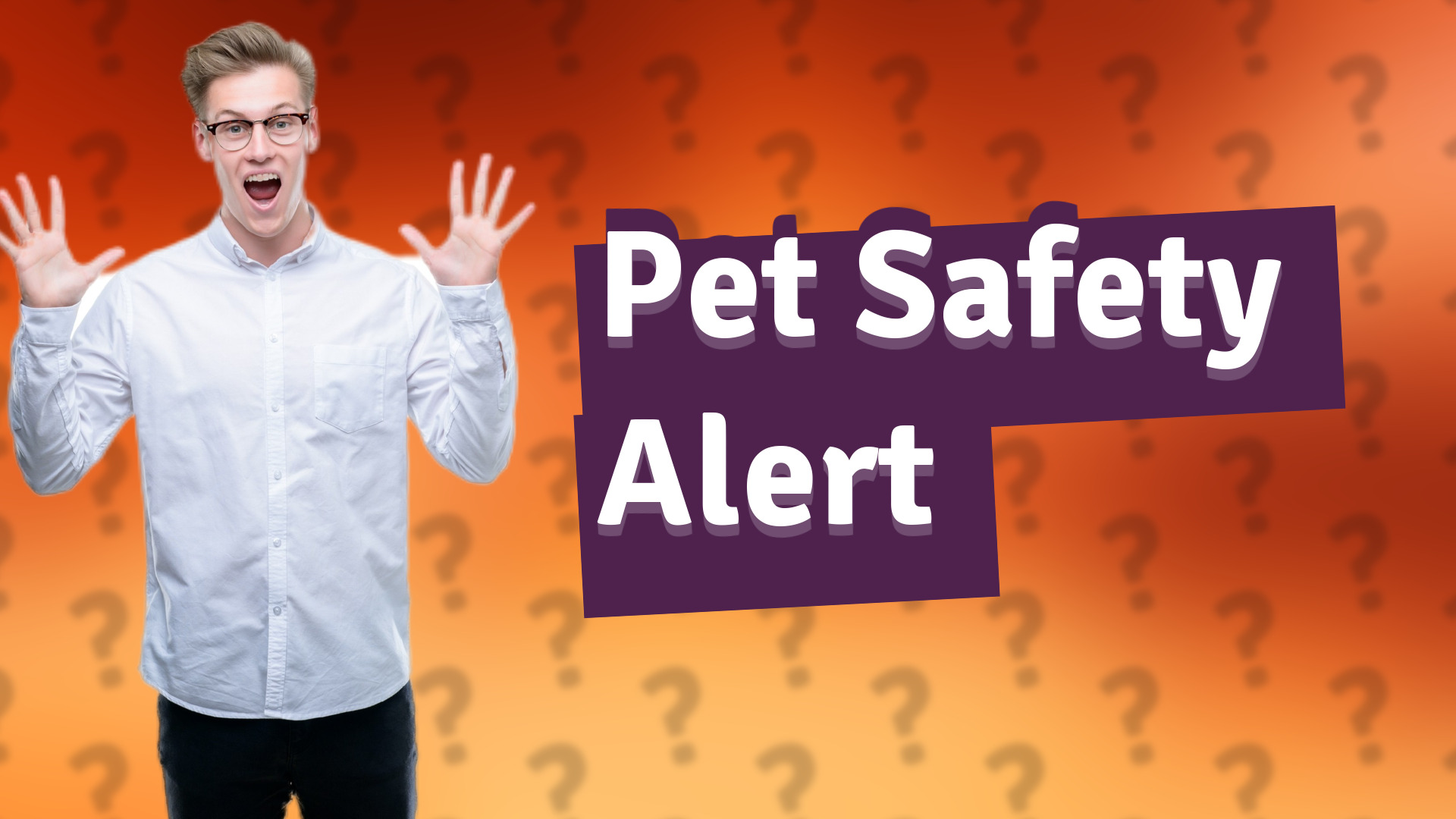 Pet Safety Alert