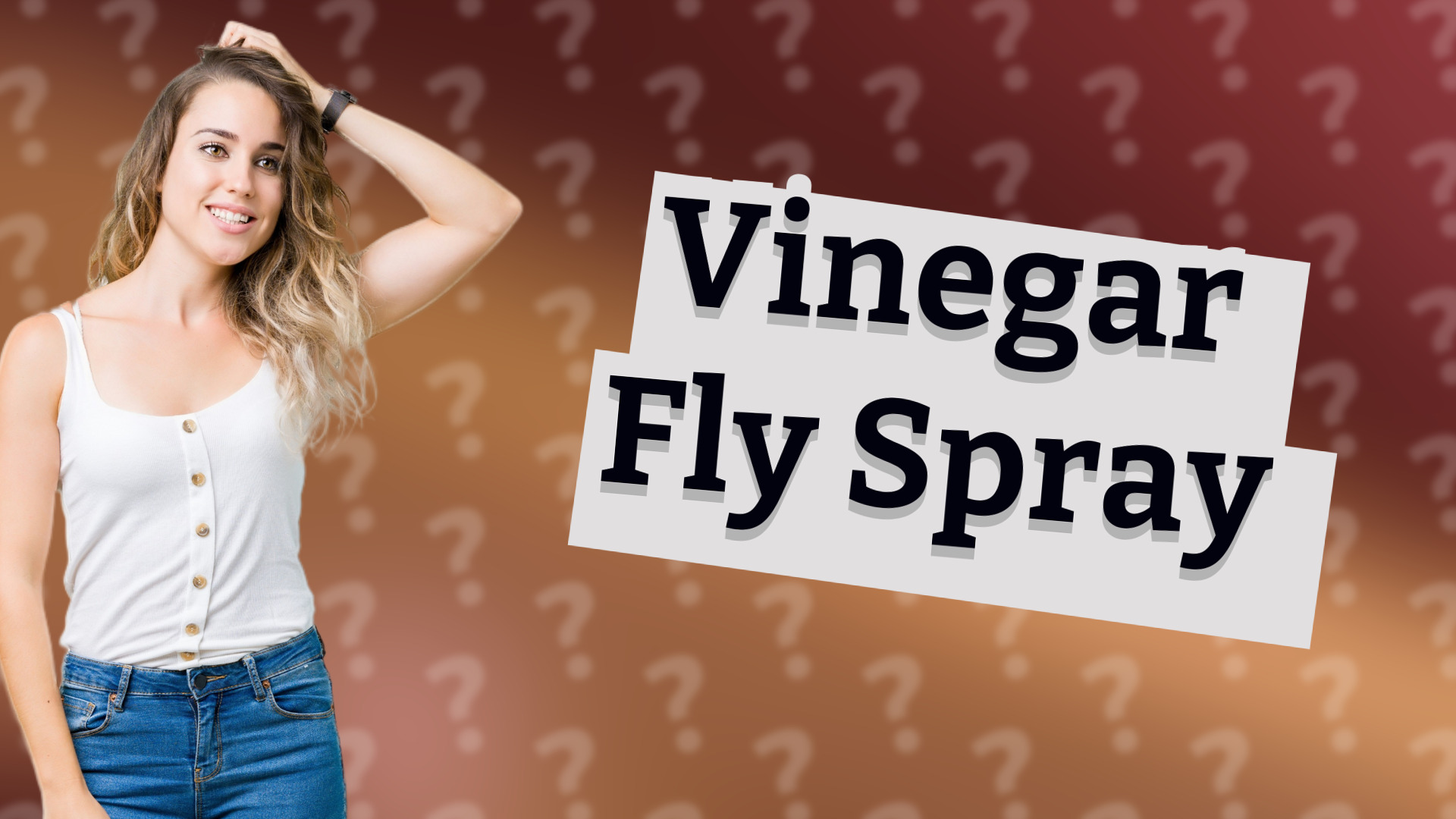 Vinegar Fly Spray