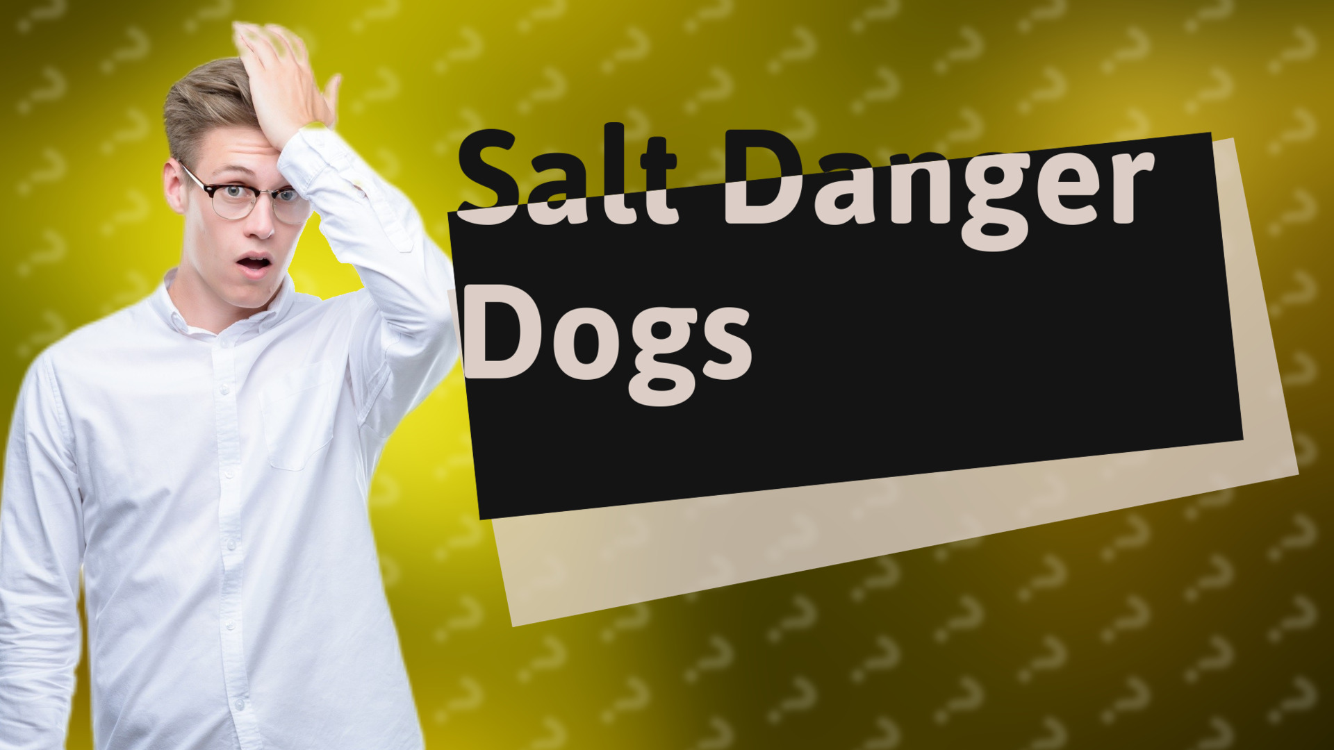 Salt Danger Dogs