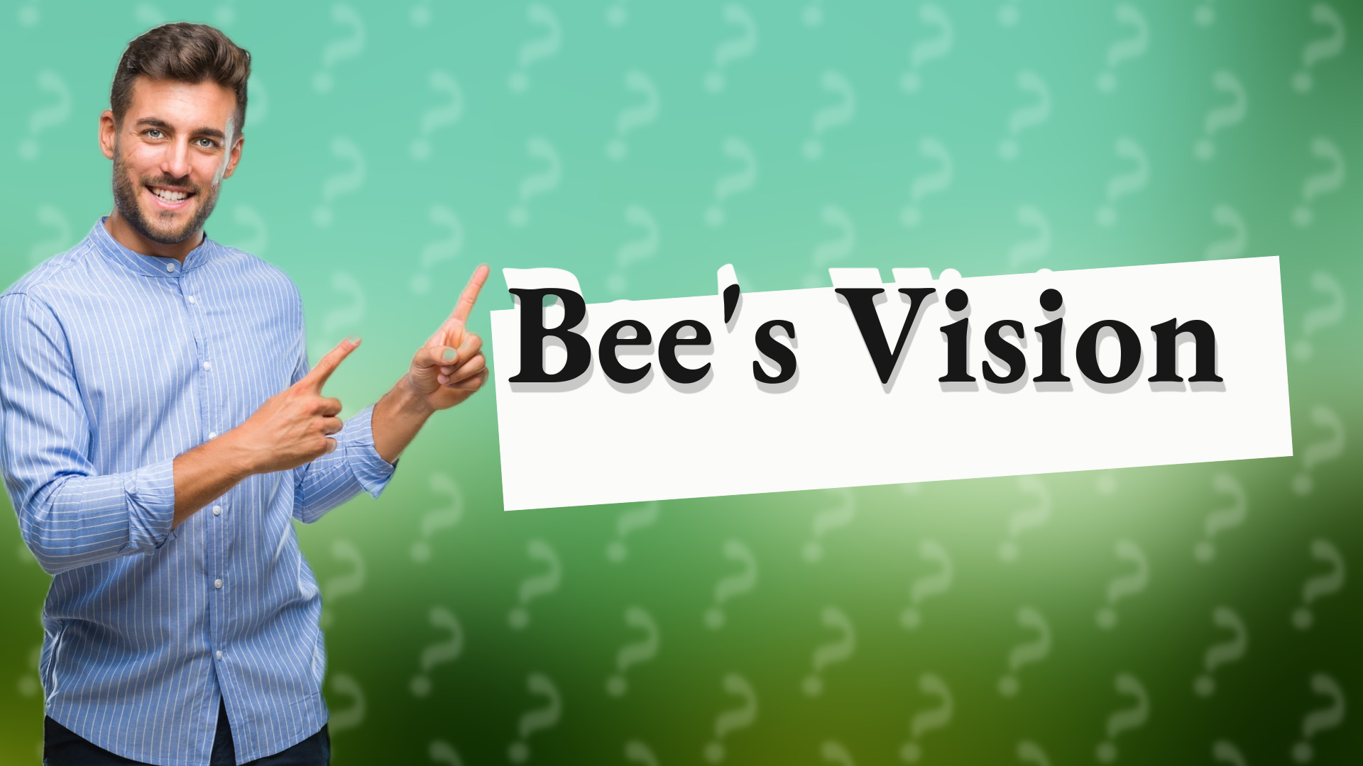 Bee's Vision