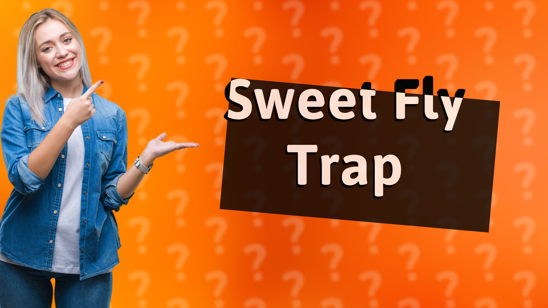 Sweet Fly Trap
