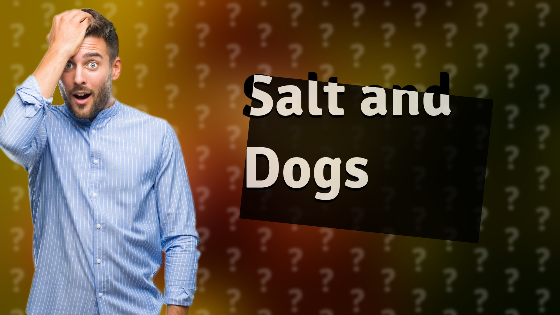 Salt and Dogs