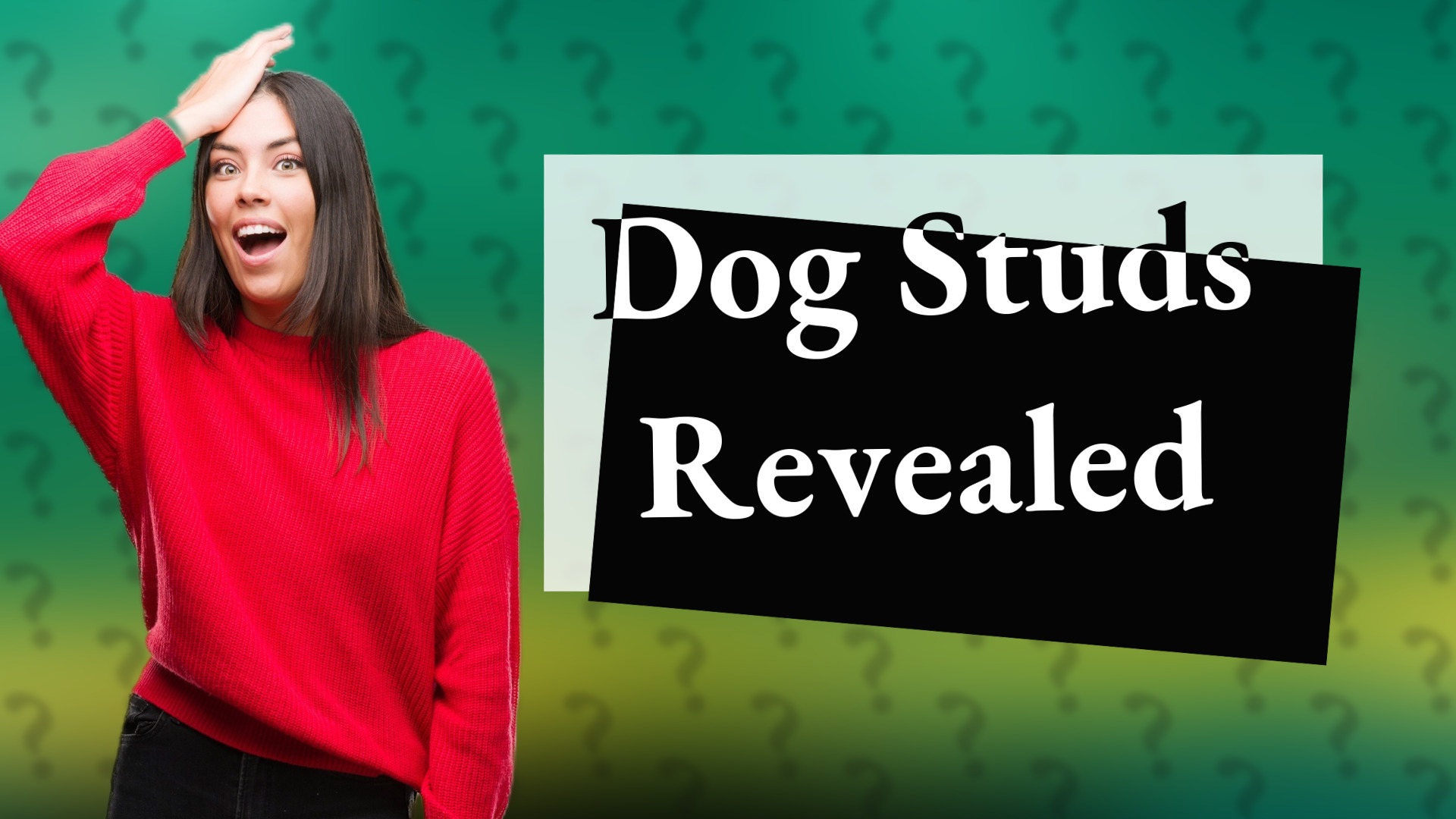 Dog Studs Revealed