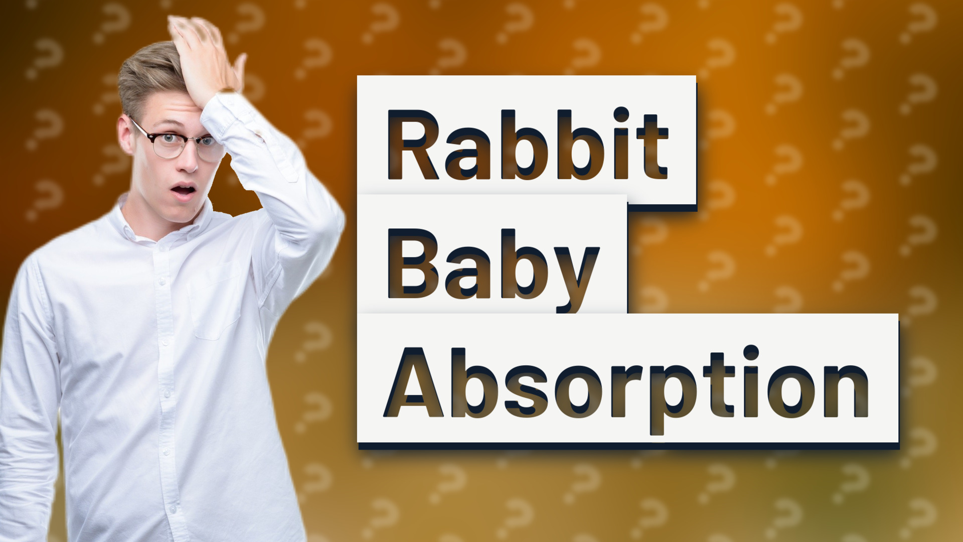 Rabbit Baby Absorption