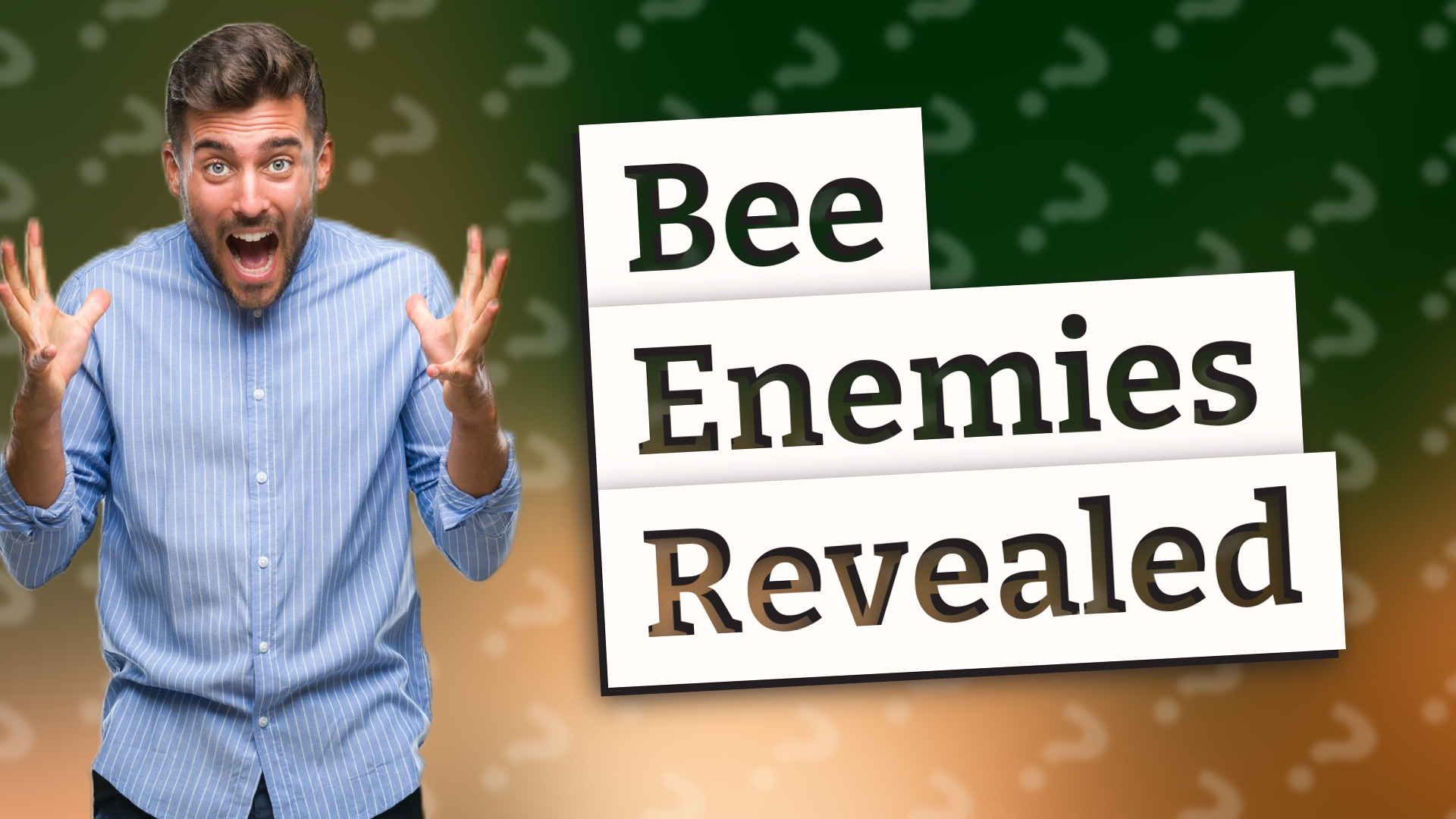 Bee Enemies Revealed