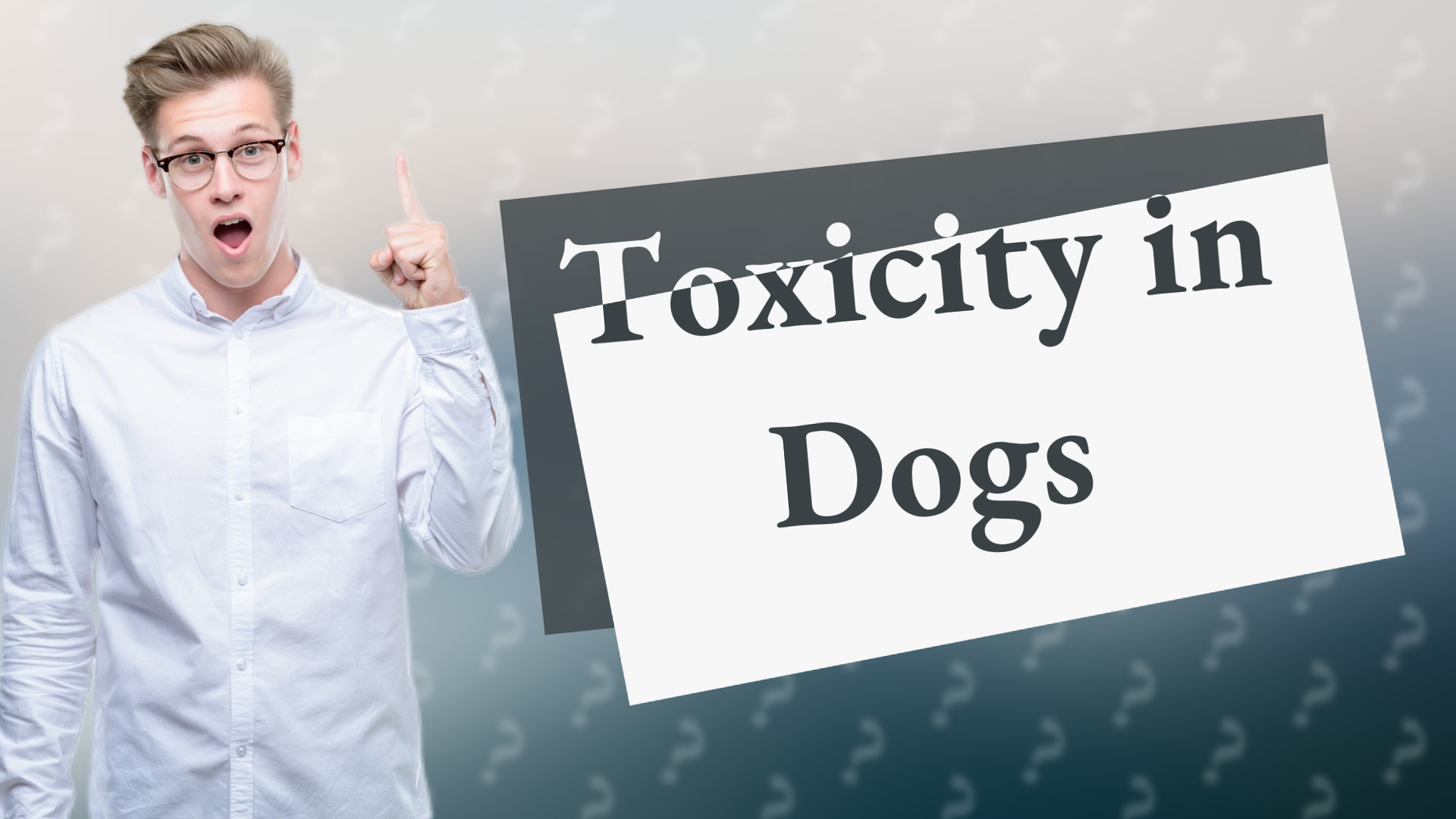 Toxicity in Dogs