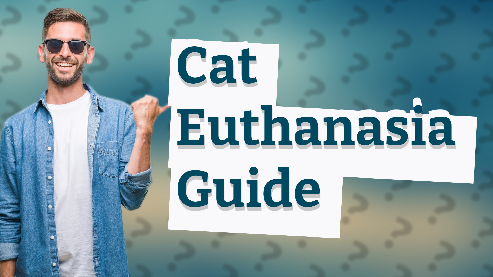 Cat Euthanasia Guide