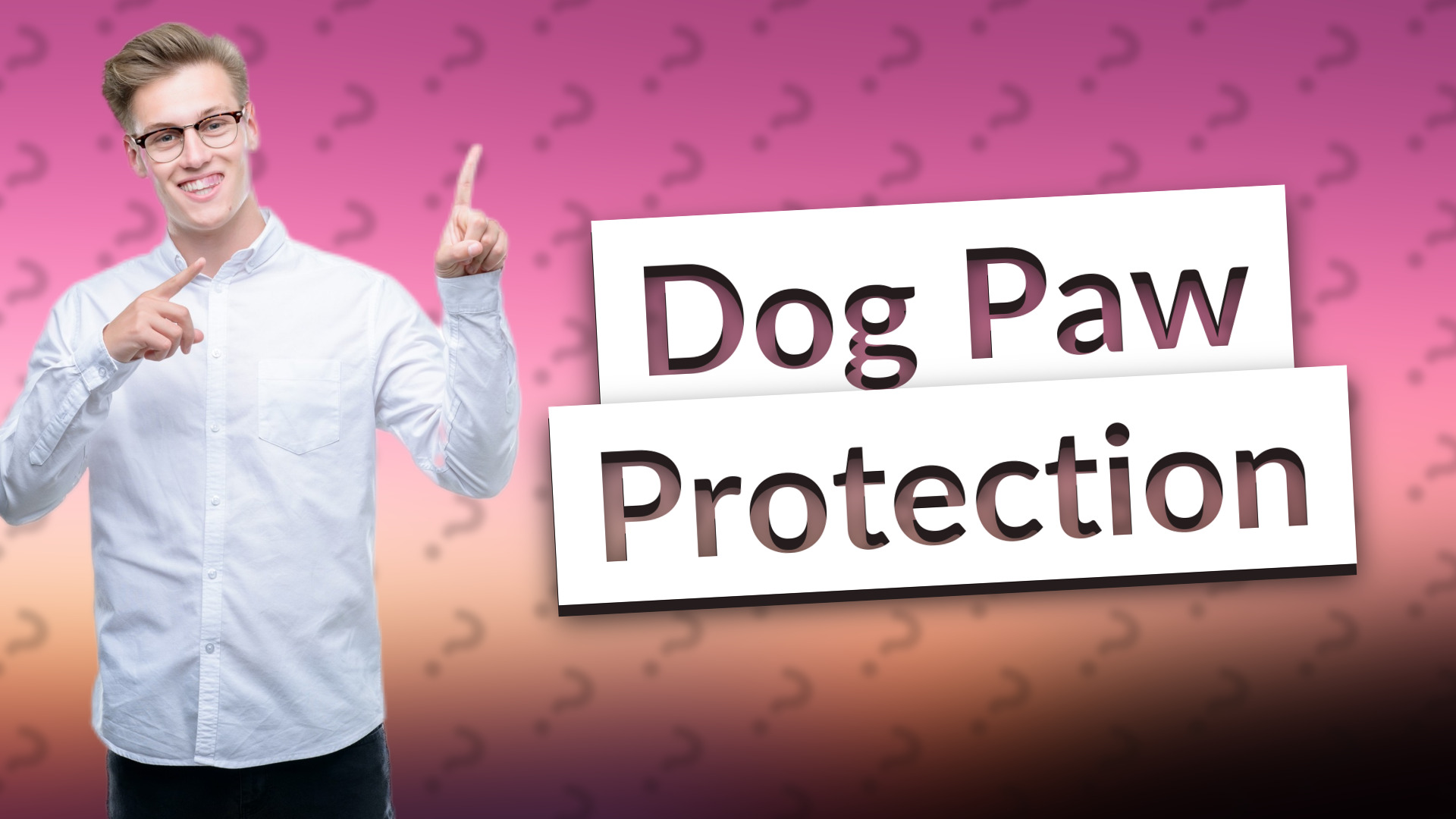 Dog Paw Protection