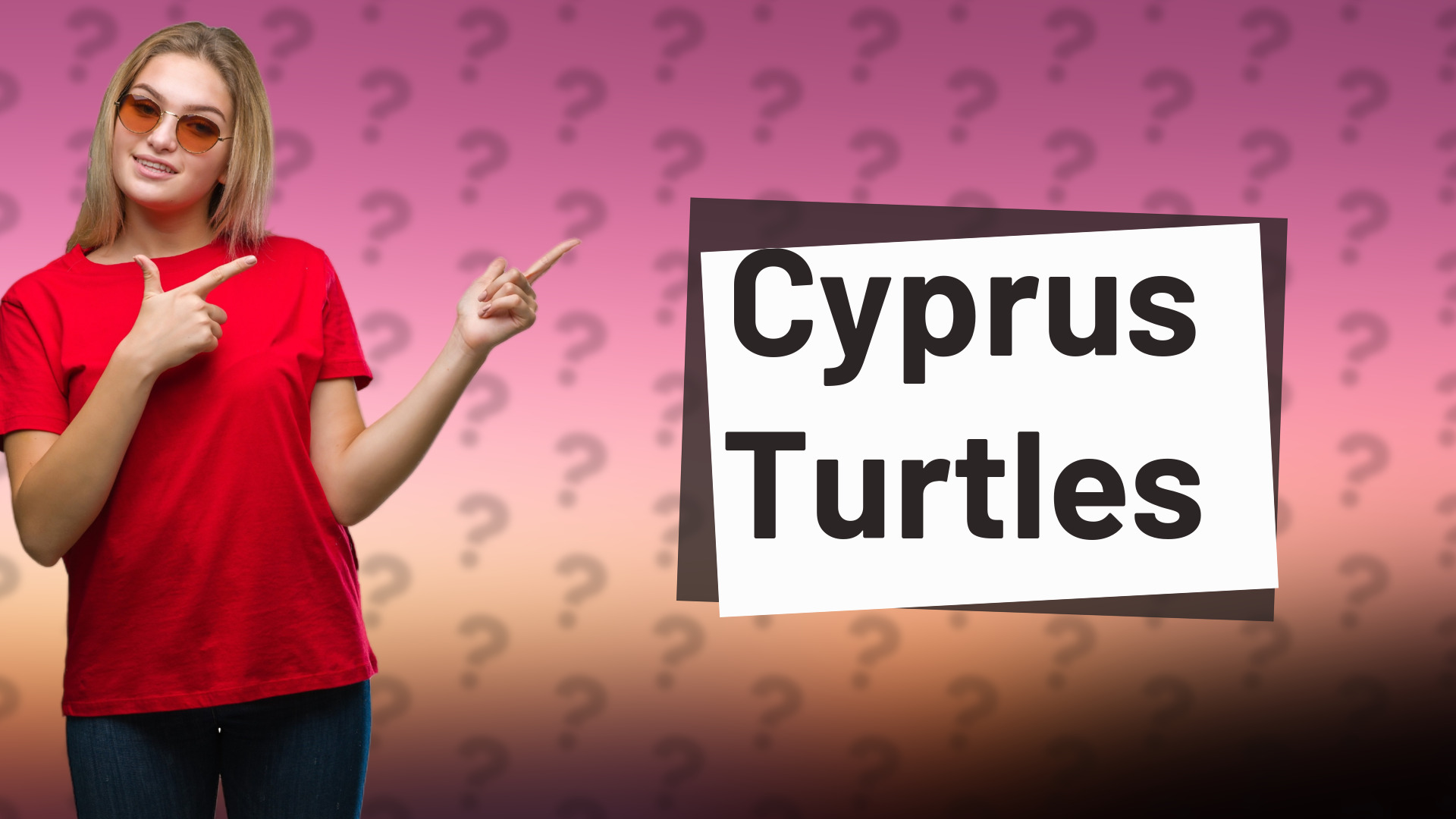 Cyprus Turtles
