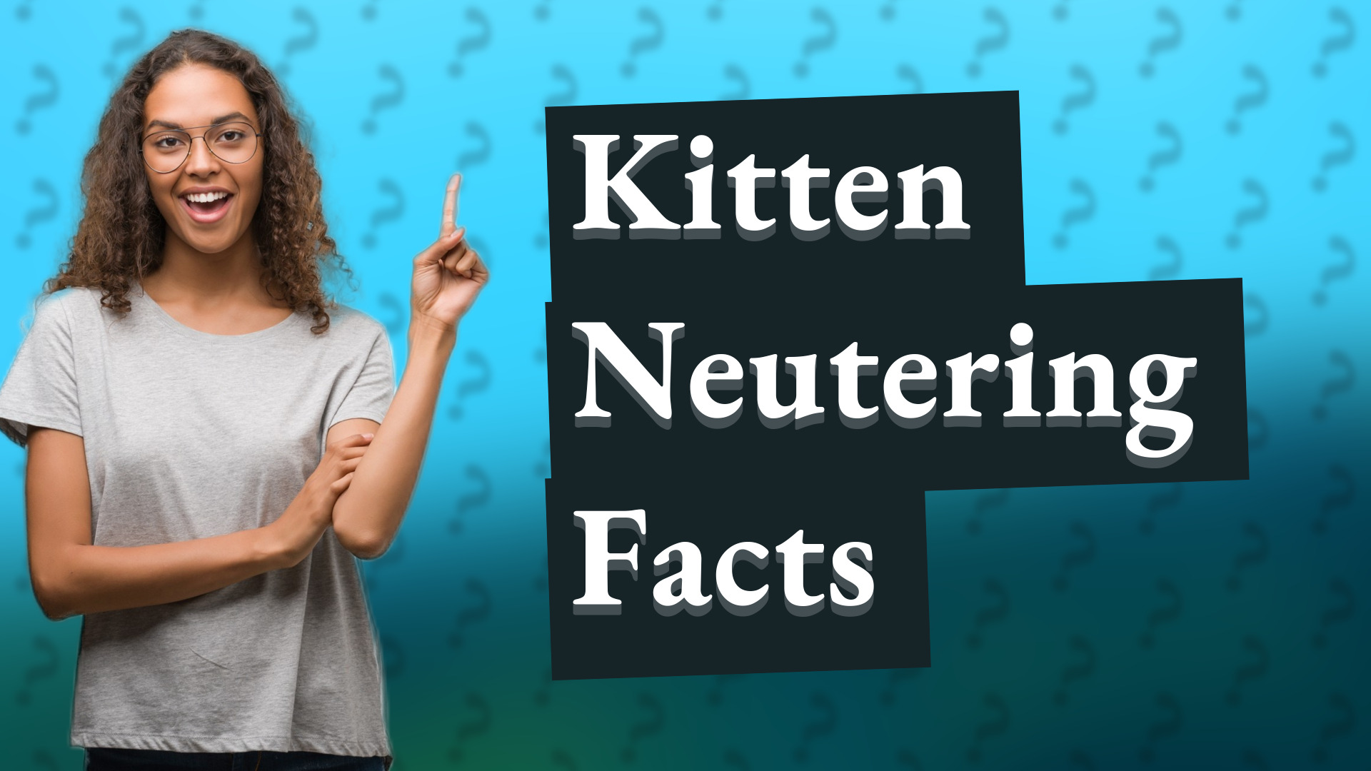 Kitten Neutering Facts