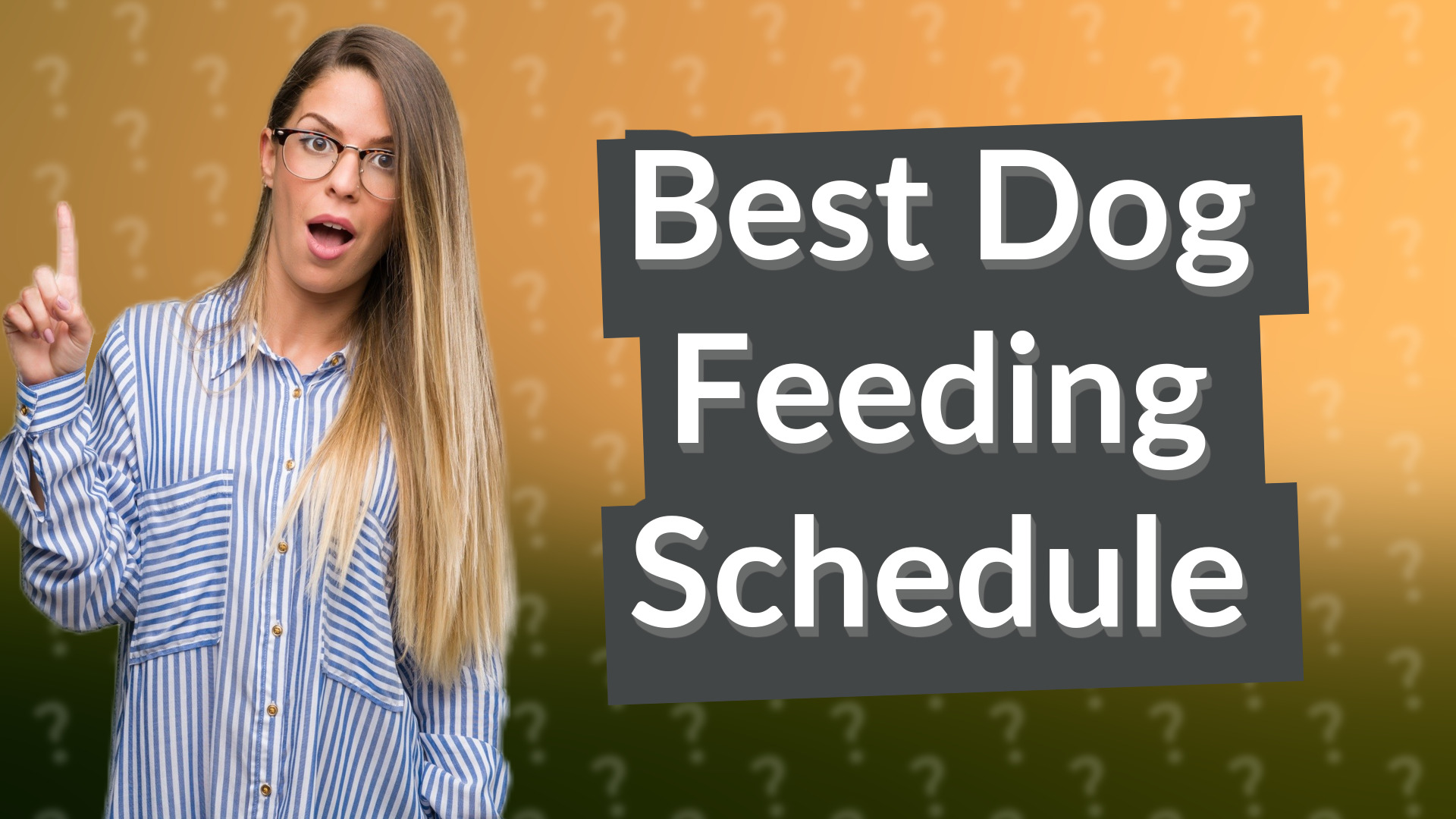 Best Dog Feeding Schedule