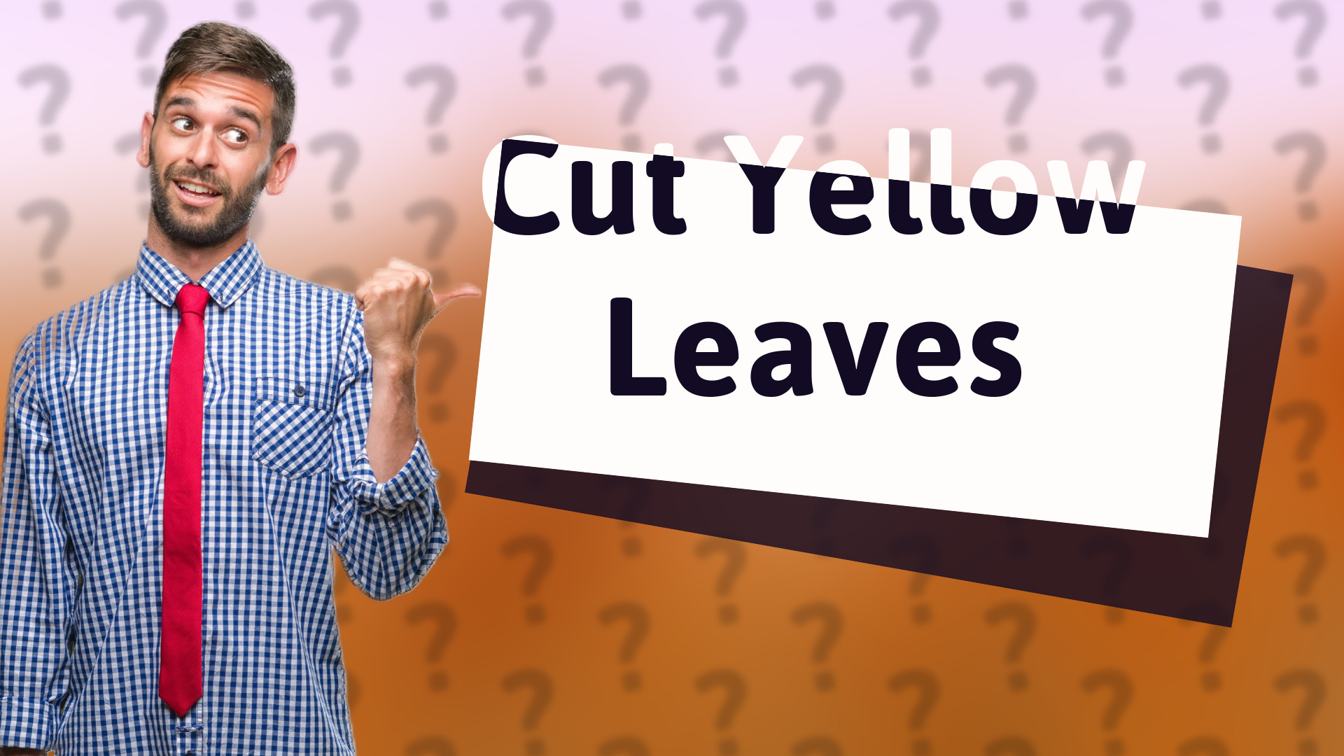 Cut Yellow Leaves