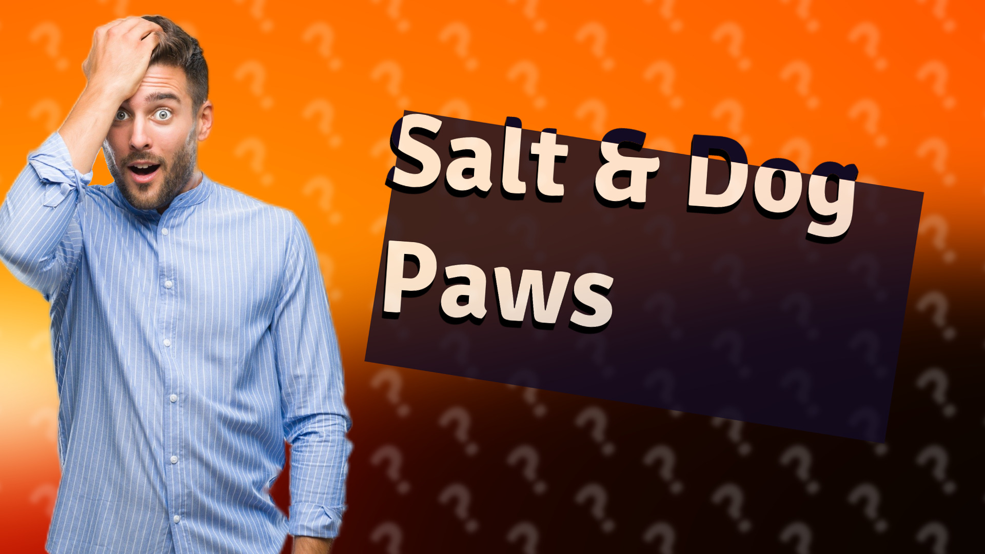 Salt & Dog Paws