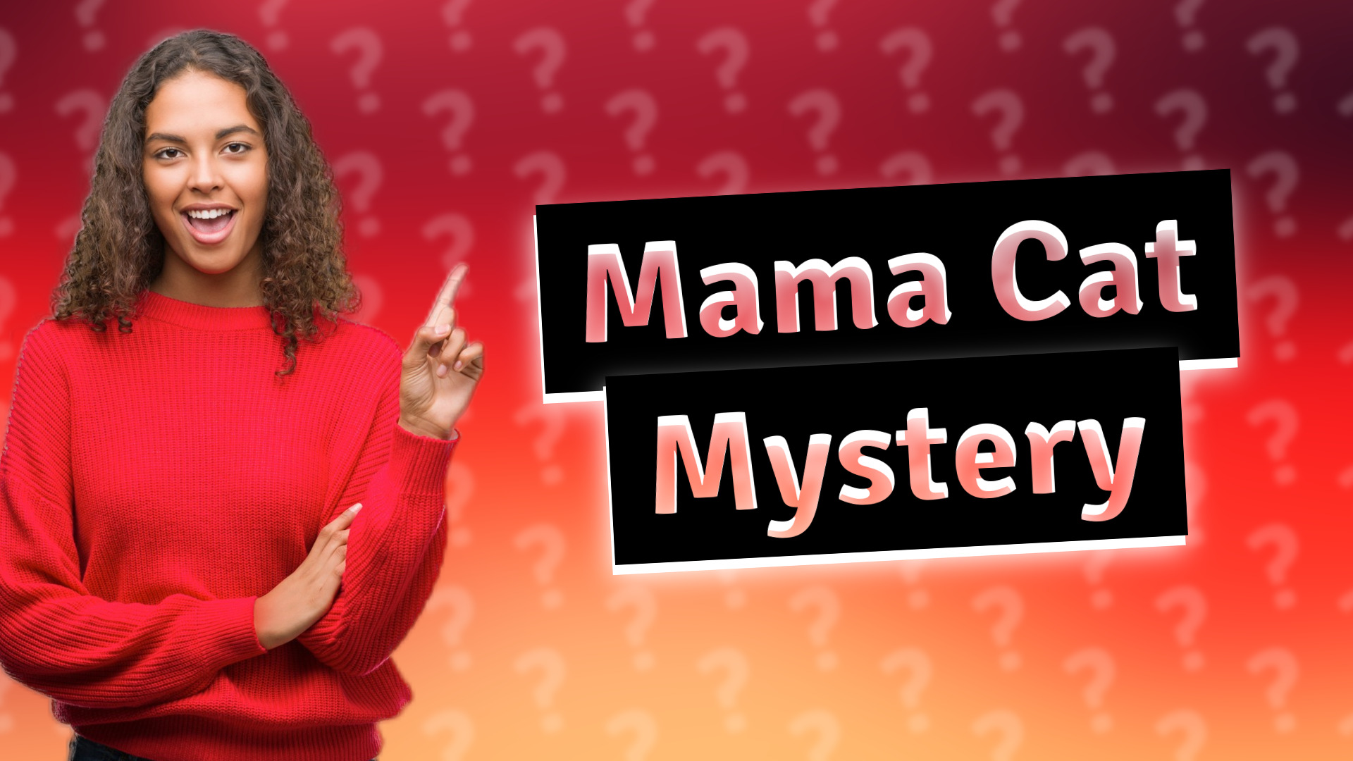 Mama Cat Mystery