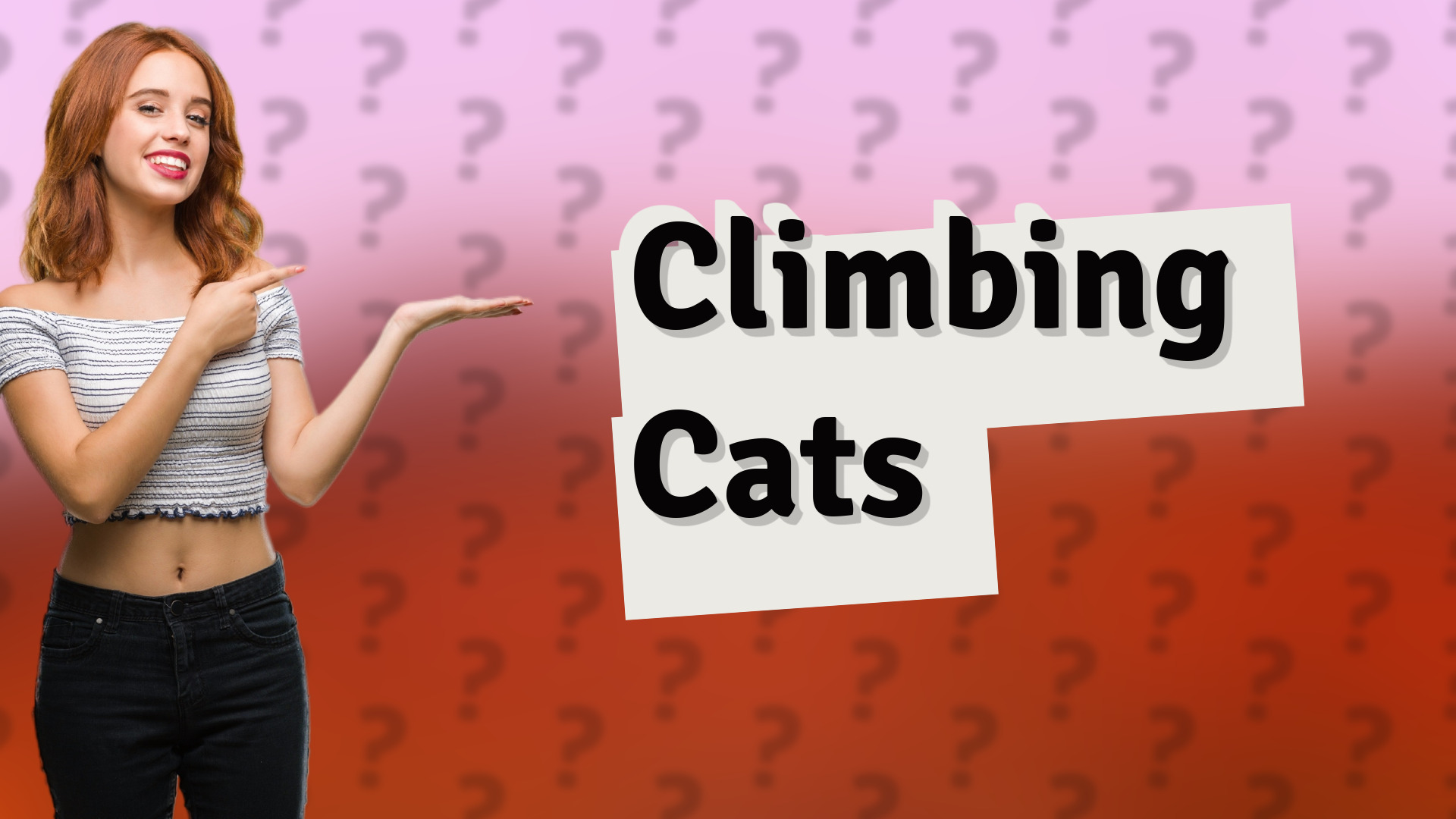 Climbing Cats