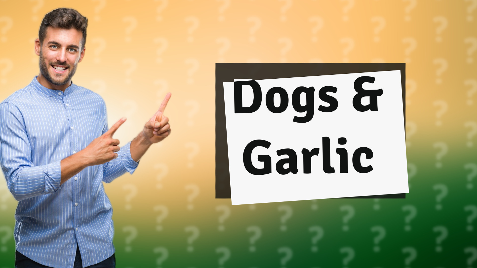 Dogs & Garlic
