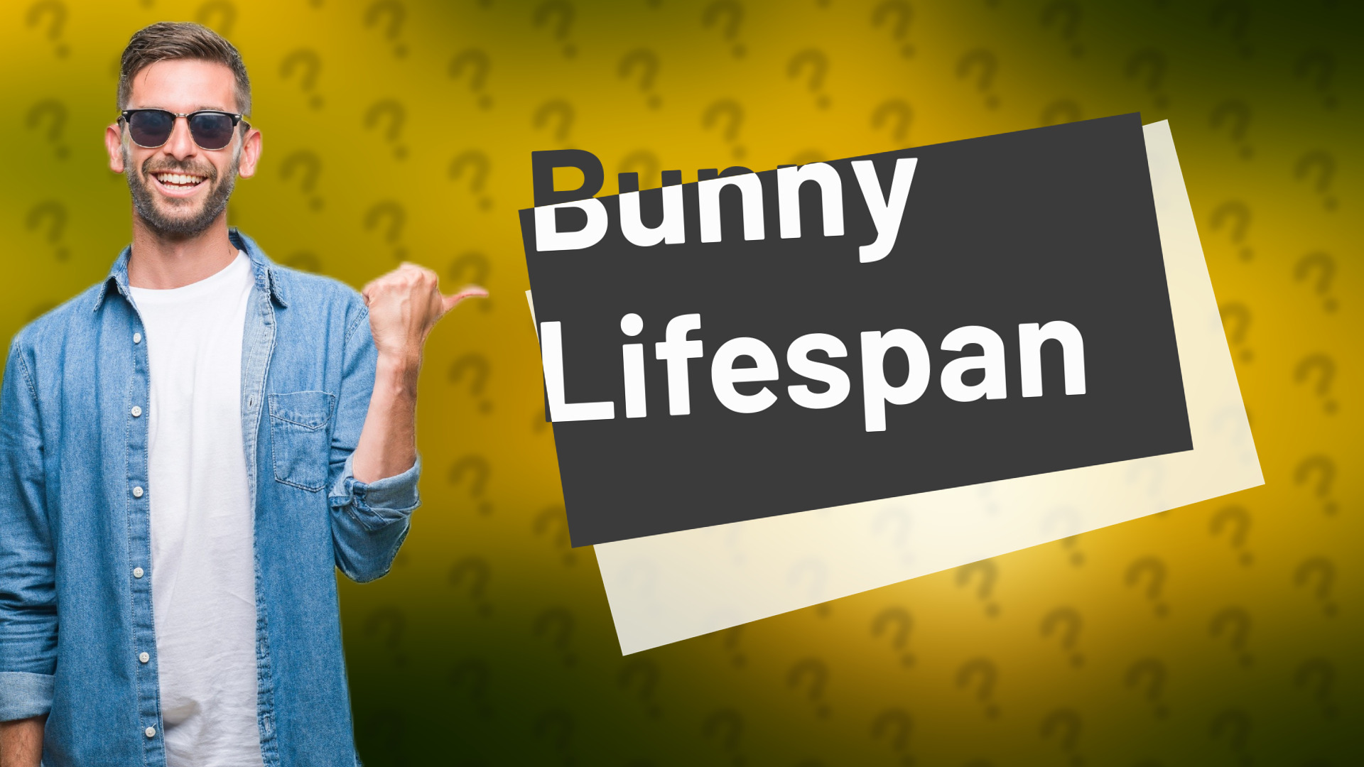Bunny Lifespan