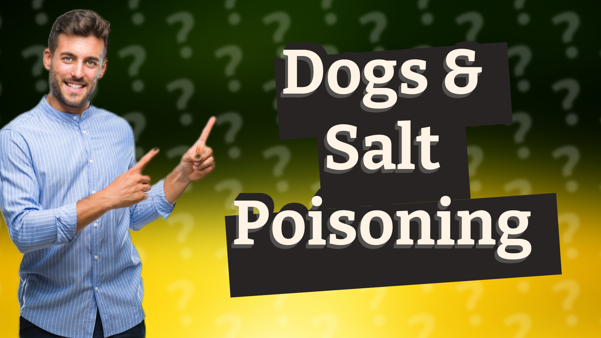 Dogs & Salt Poisoning