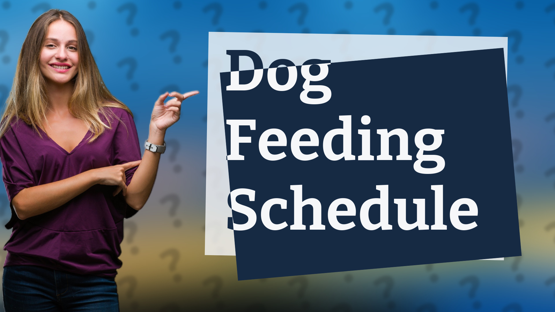 Dog Feeding Schedule