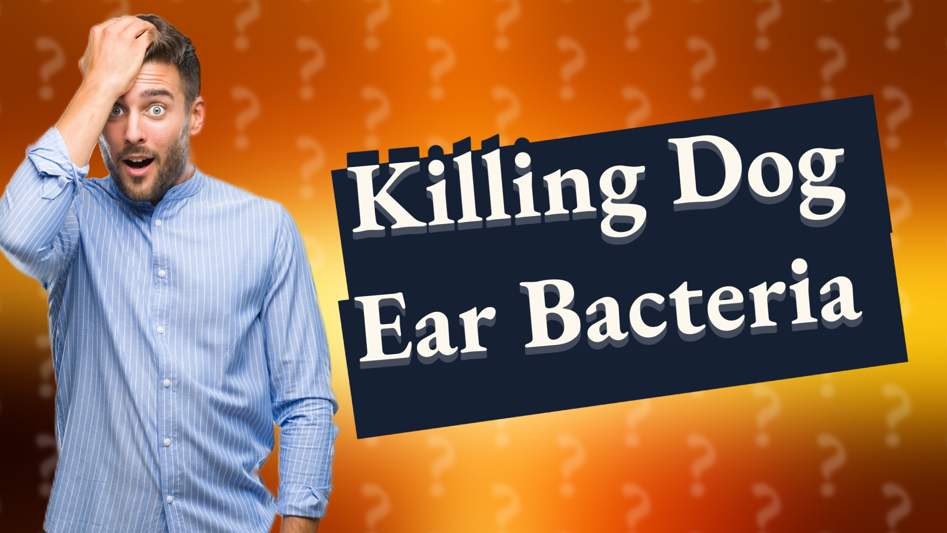 Killing Dog Ear Bacteria