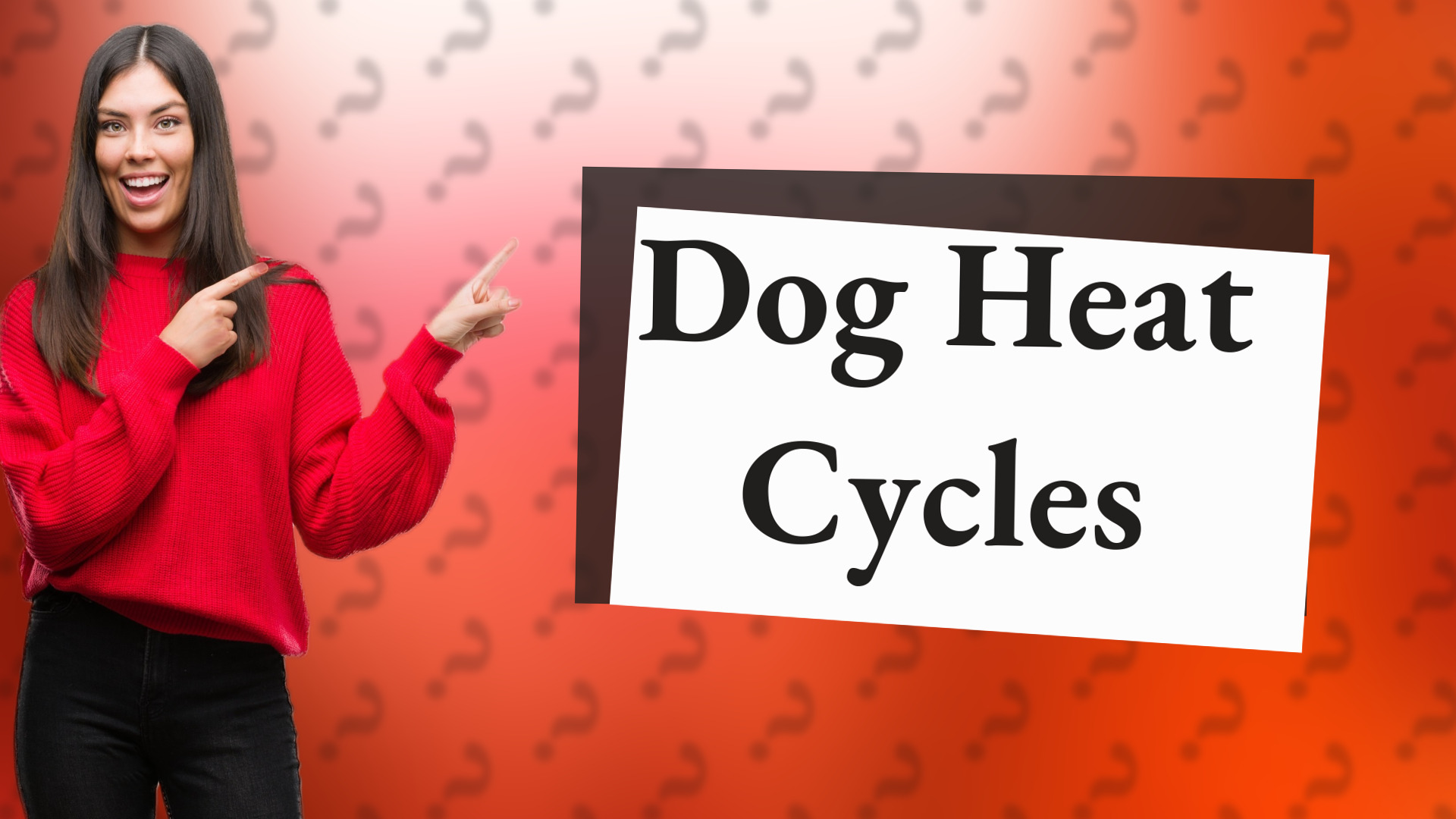 Dog Heat Cycles