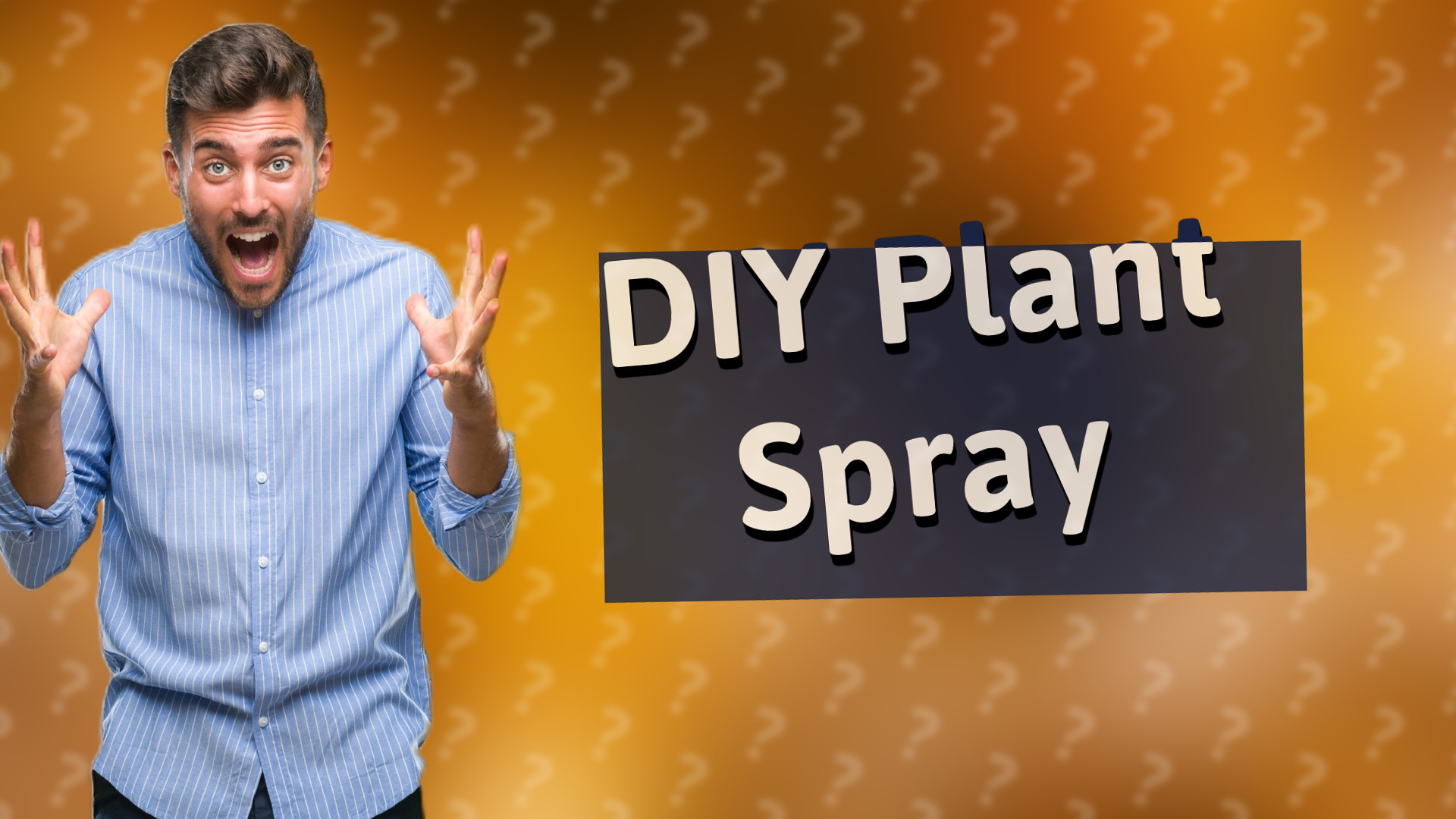 DIY Plant Spray