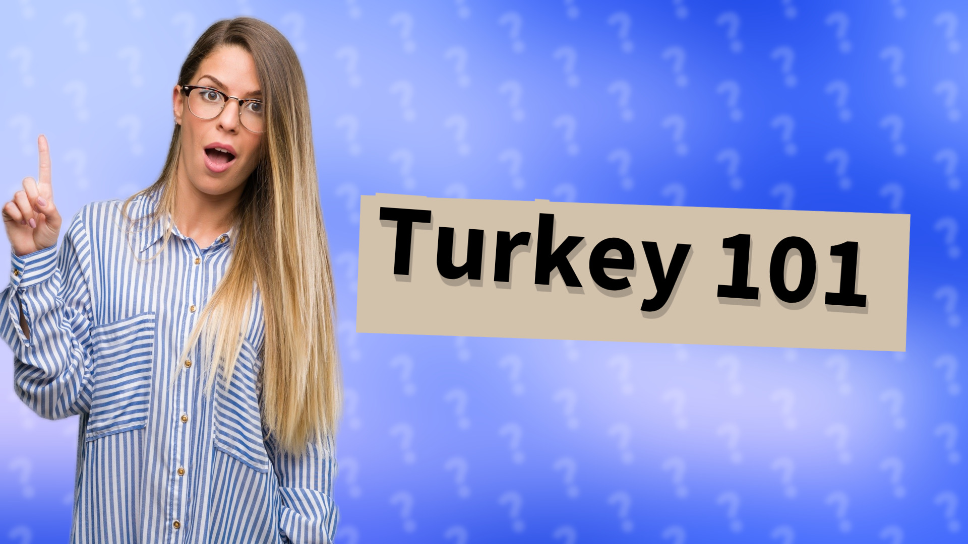 Turkey 101