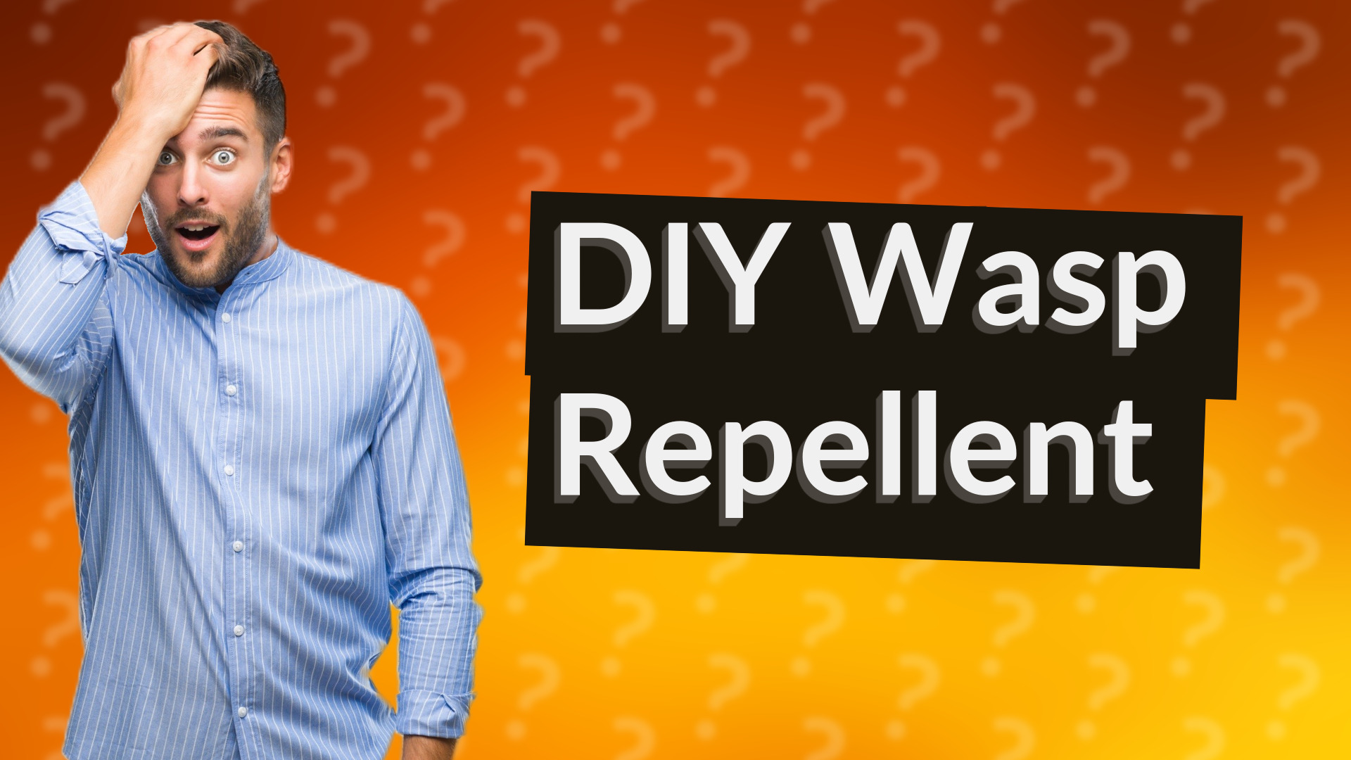DIY Wasp Repellent
