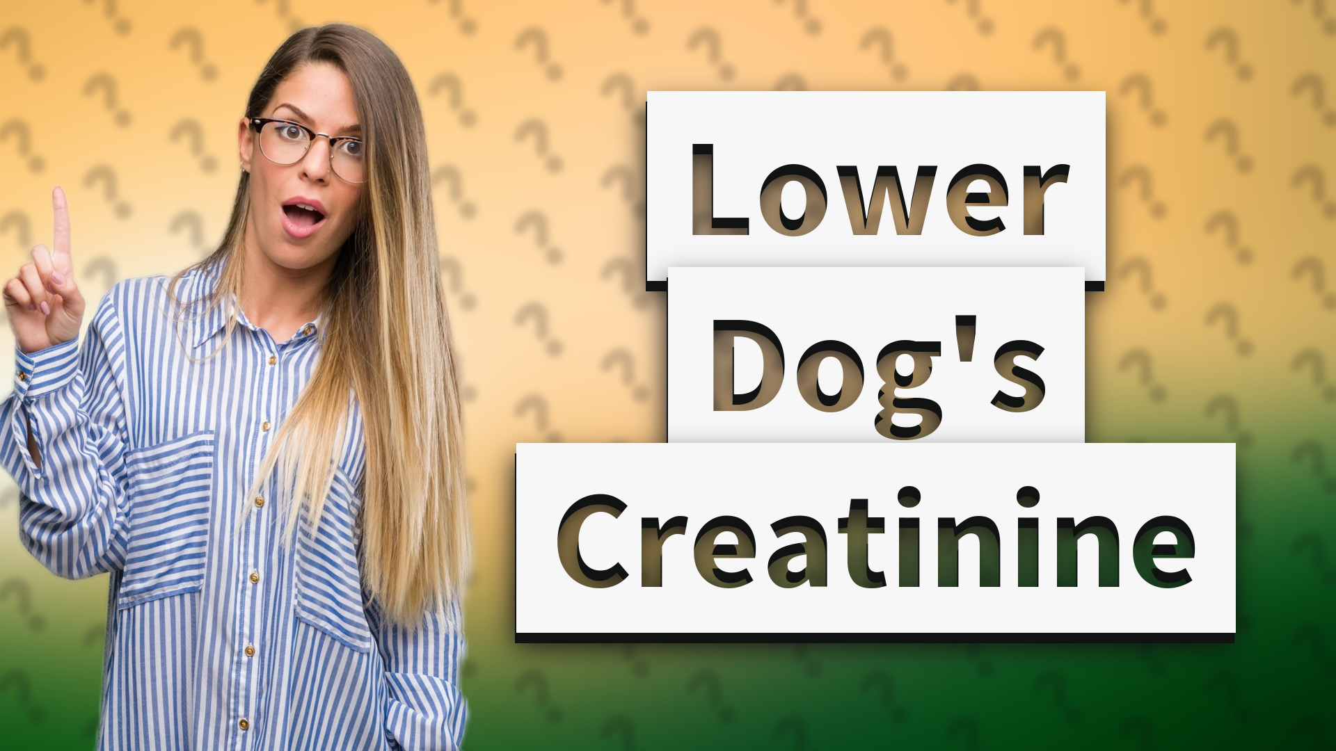 Lower Dog's Creatinine
