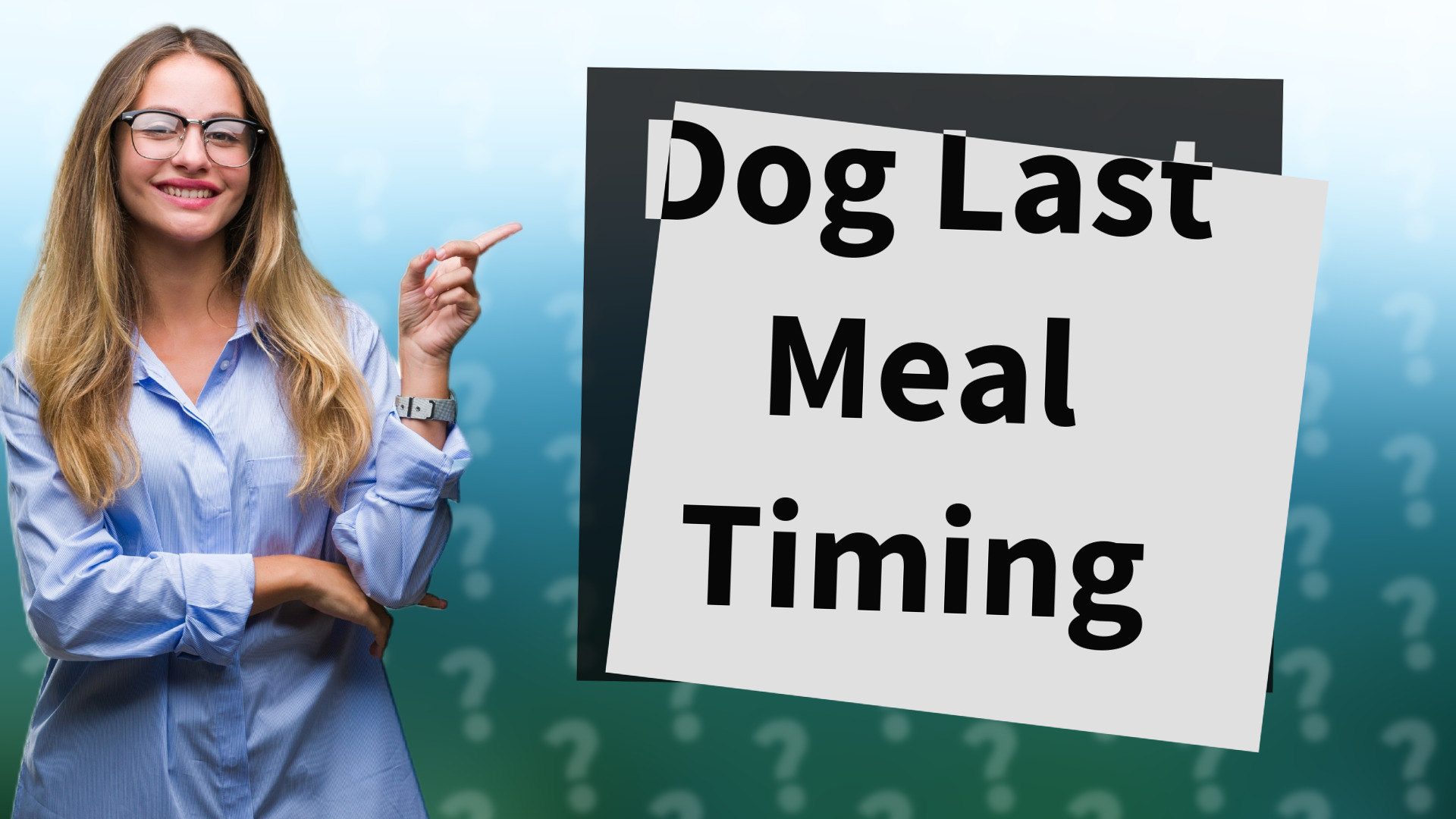Dog Last Meal Timing