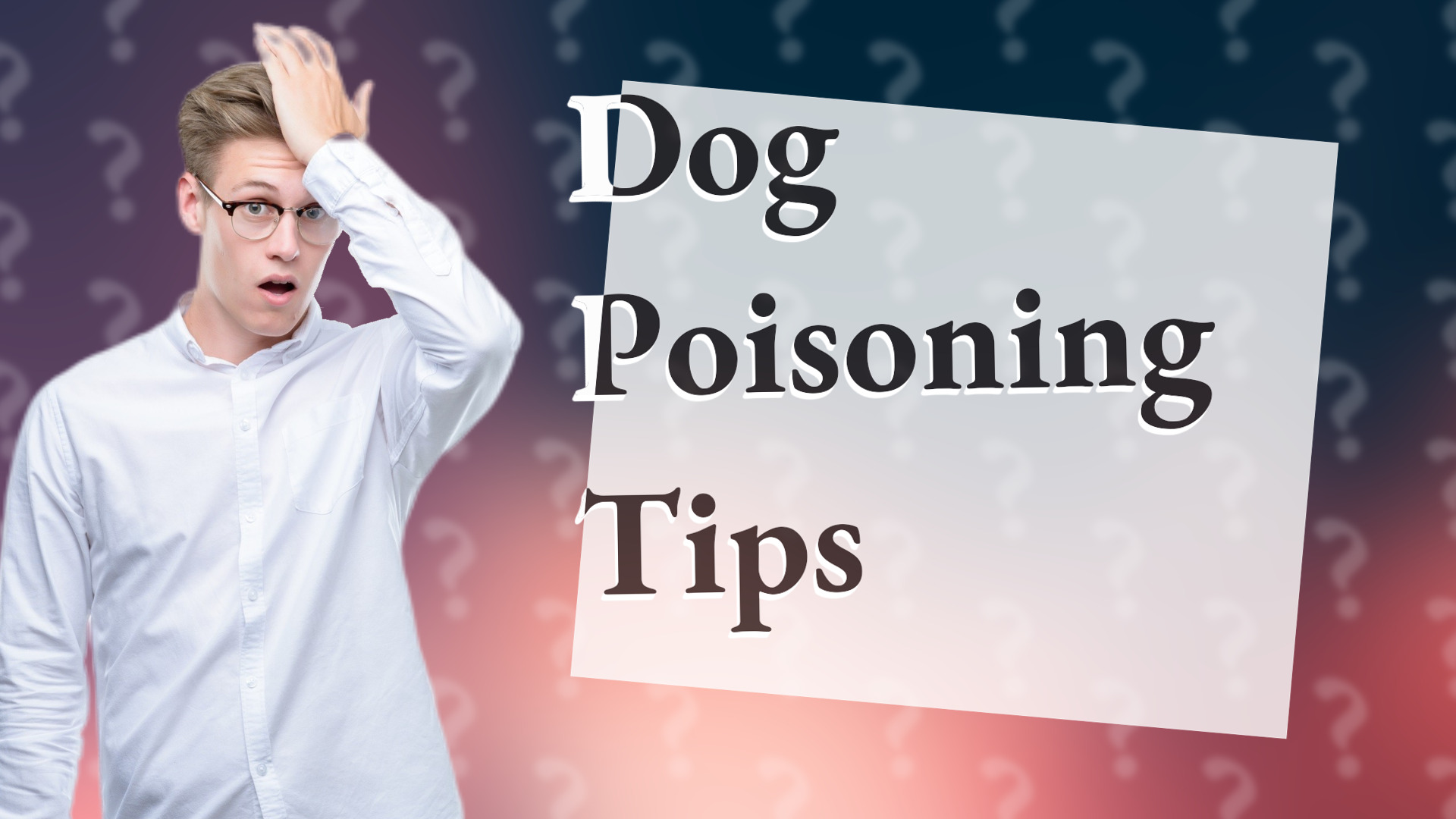 Dog Poisoning Tips