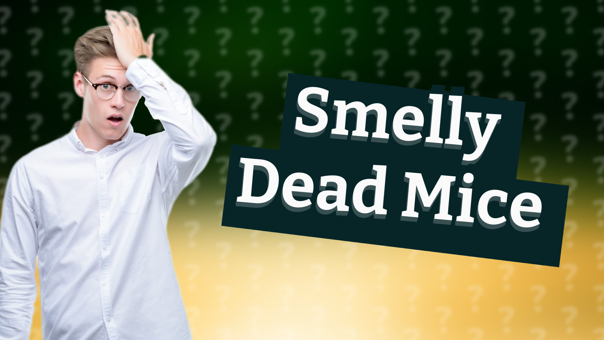 Smelly Dead Mice