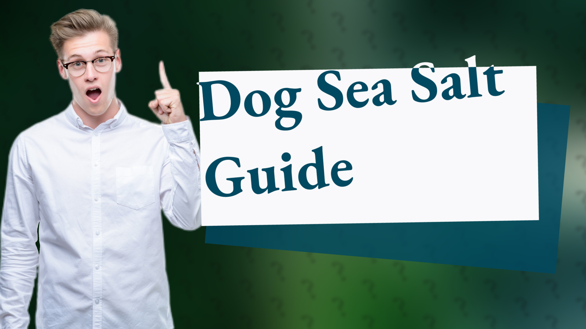 Dog Sea Salt Guide