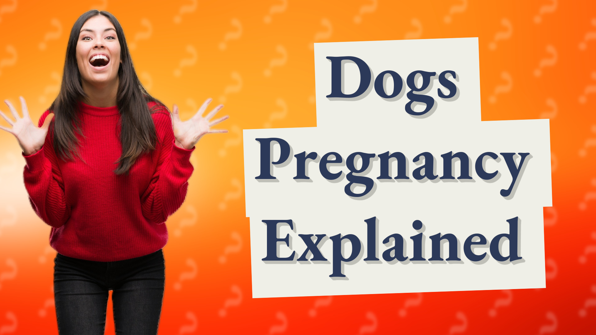Dogs Pregnancy Explained