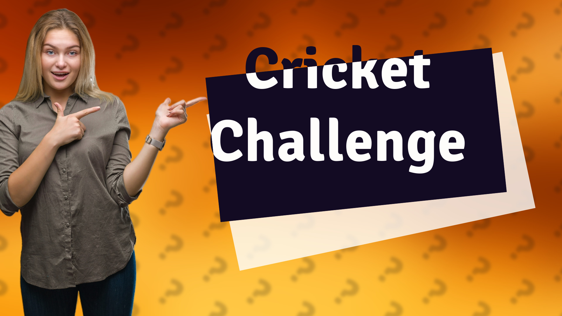 Cricket Challenge