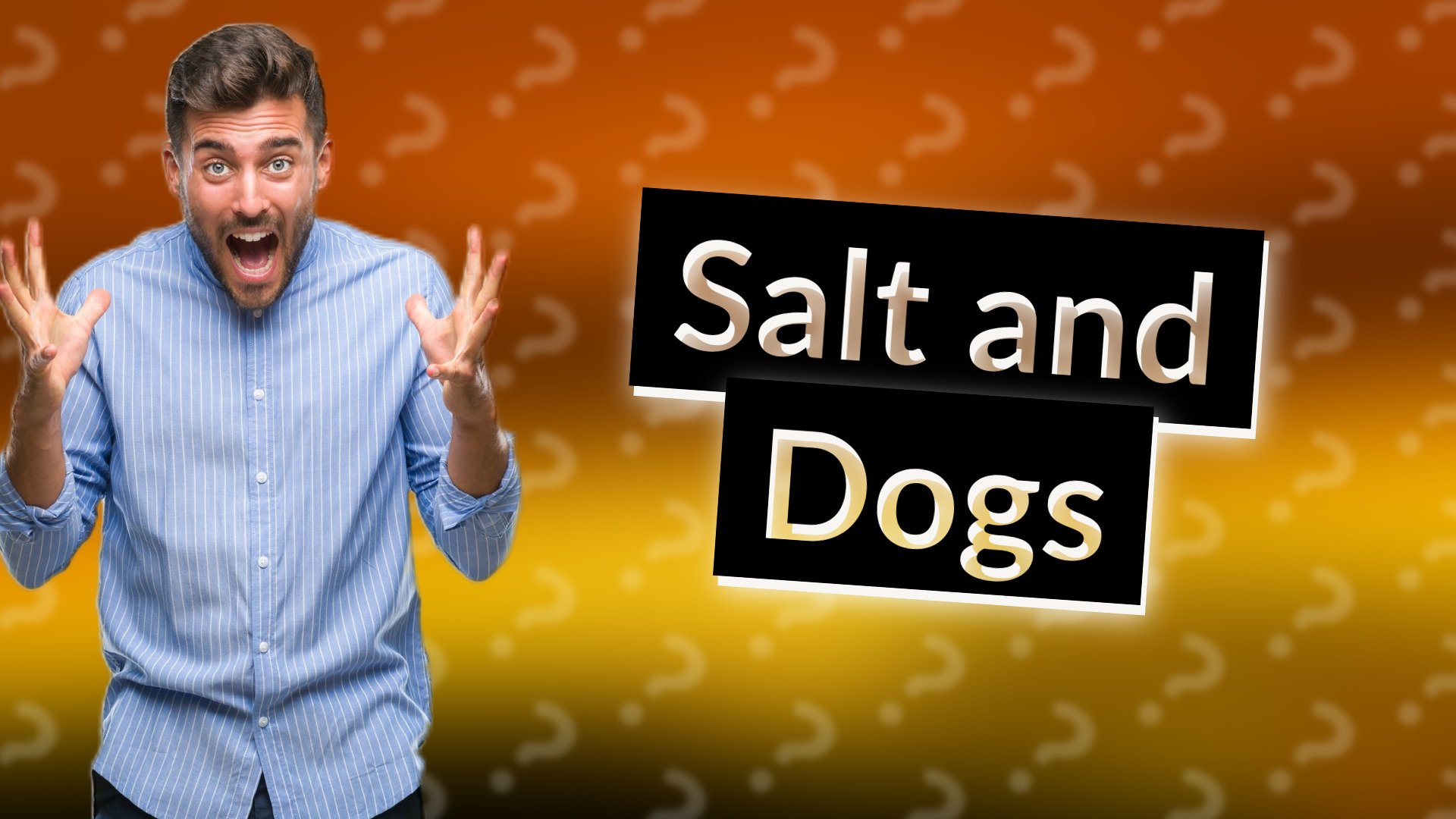 Salt and Dogs