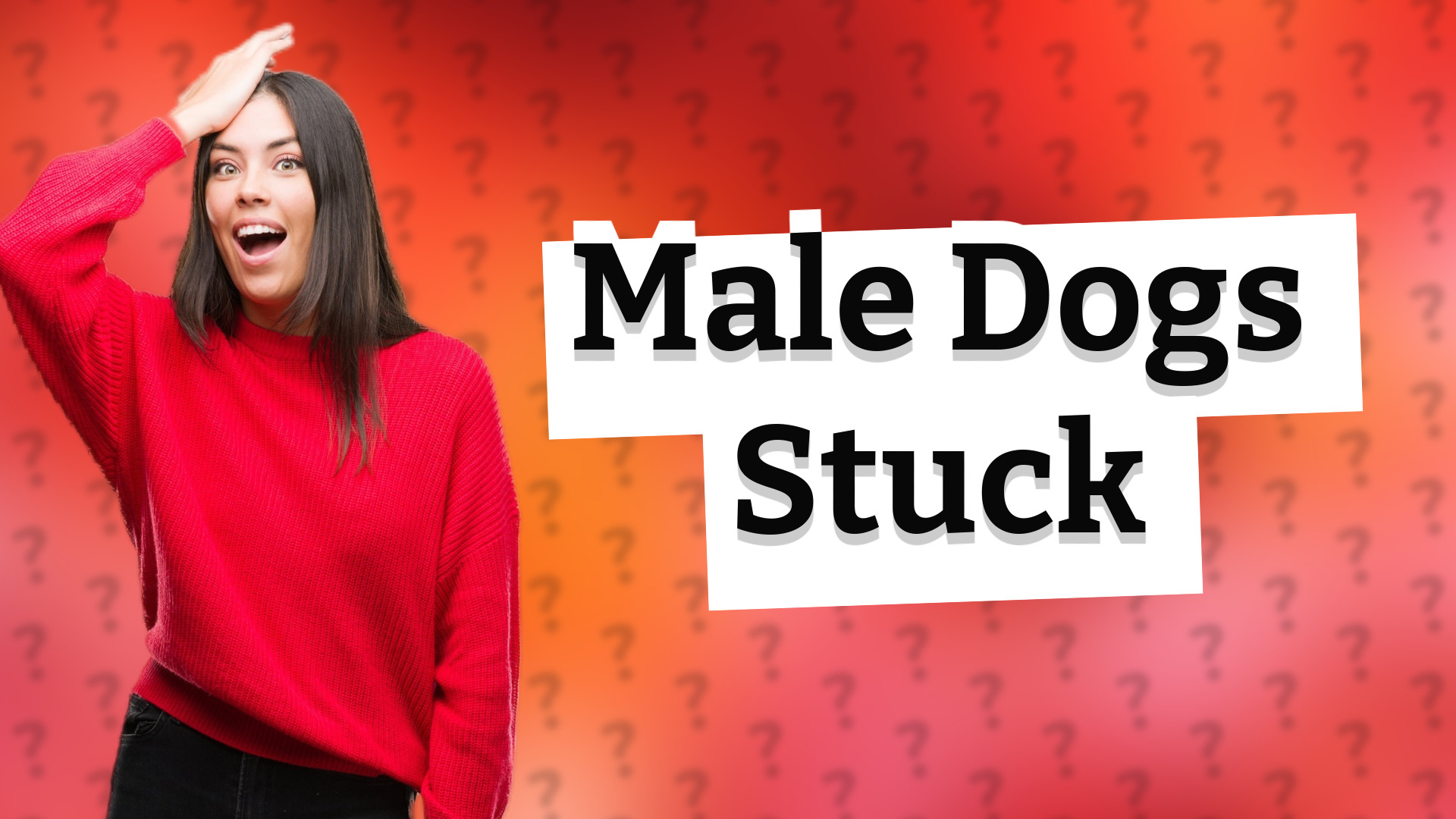 Male Dogs Stuck
