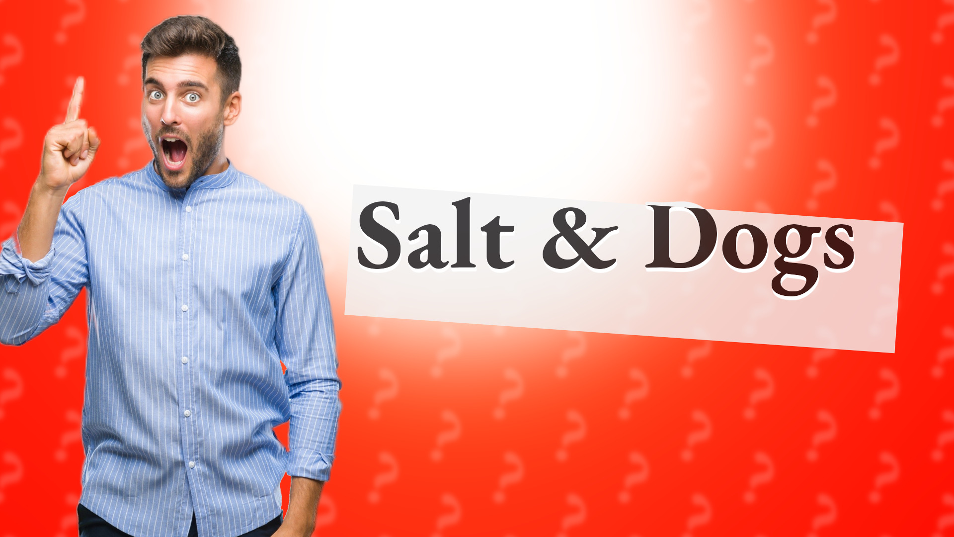 Salt & Dogs