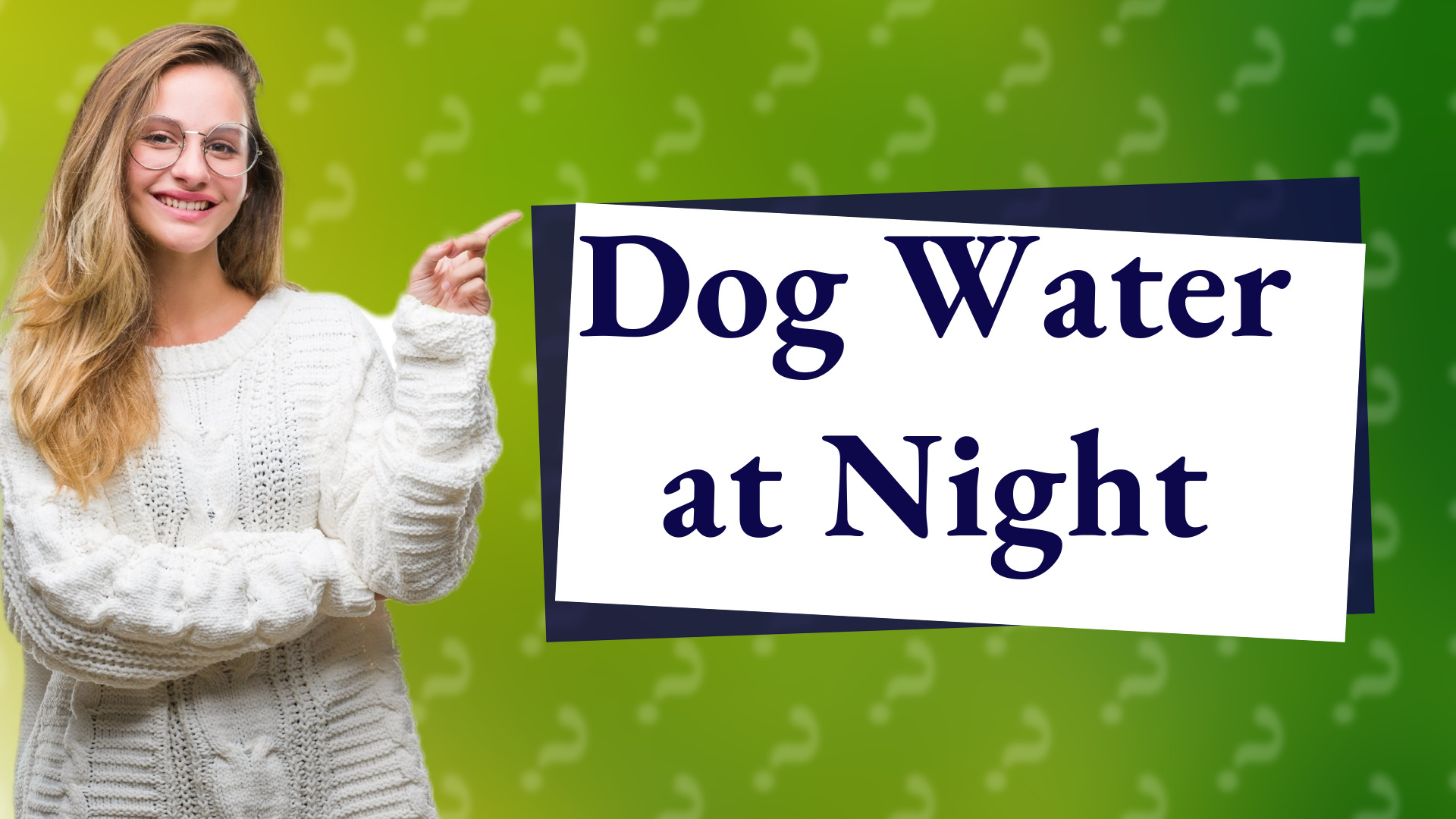 Dog Water at Night