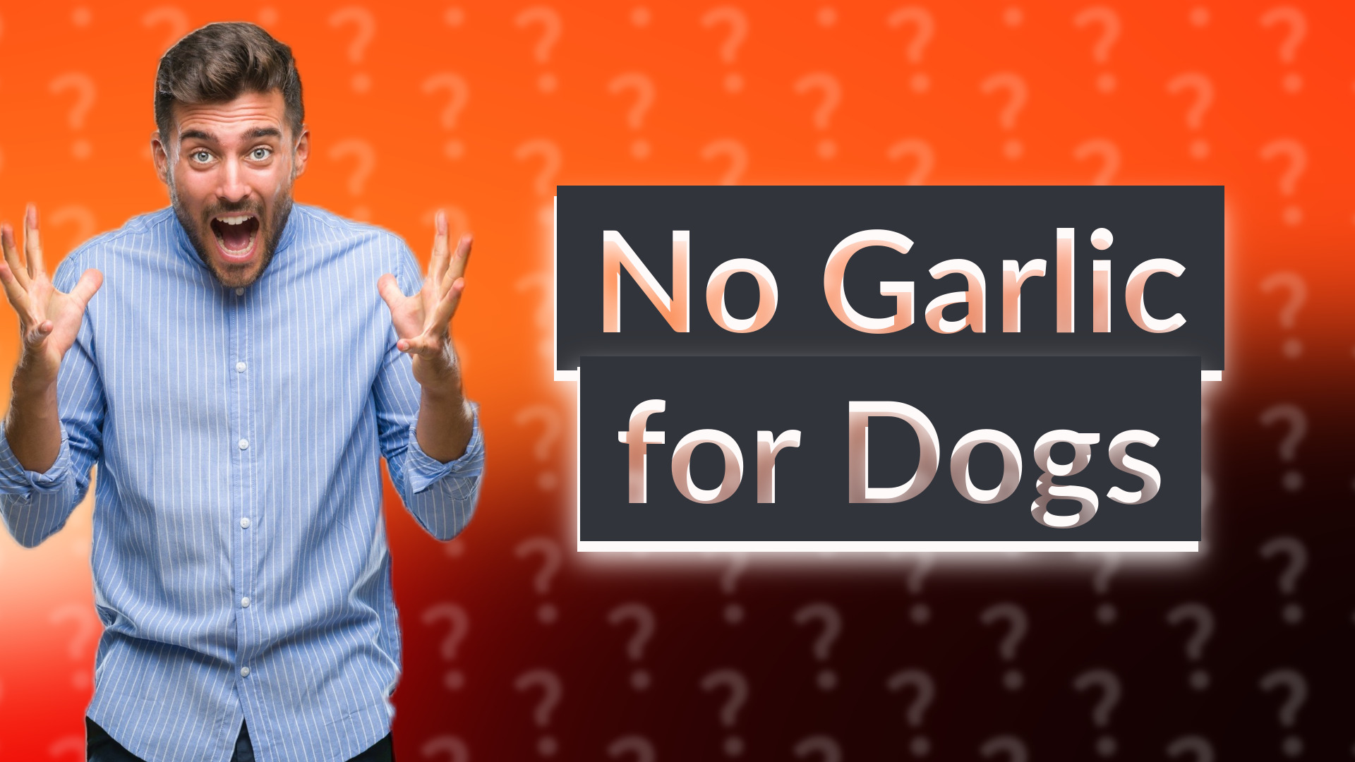 No Garlic for Dogs