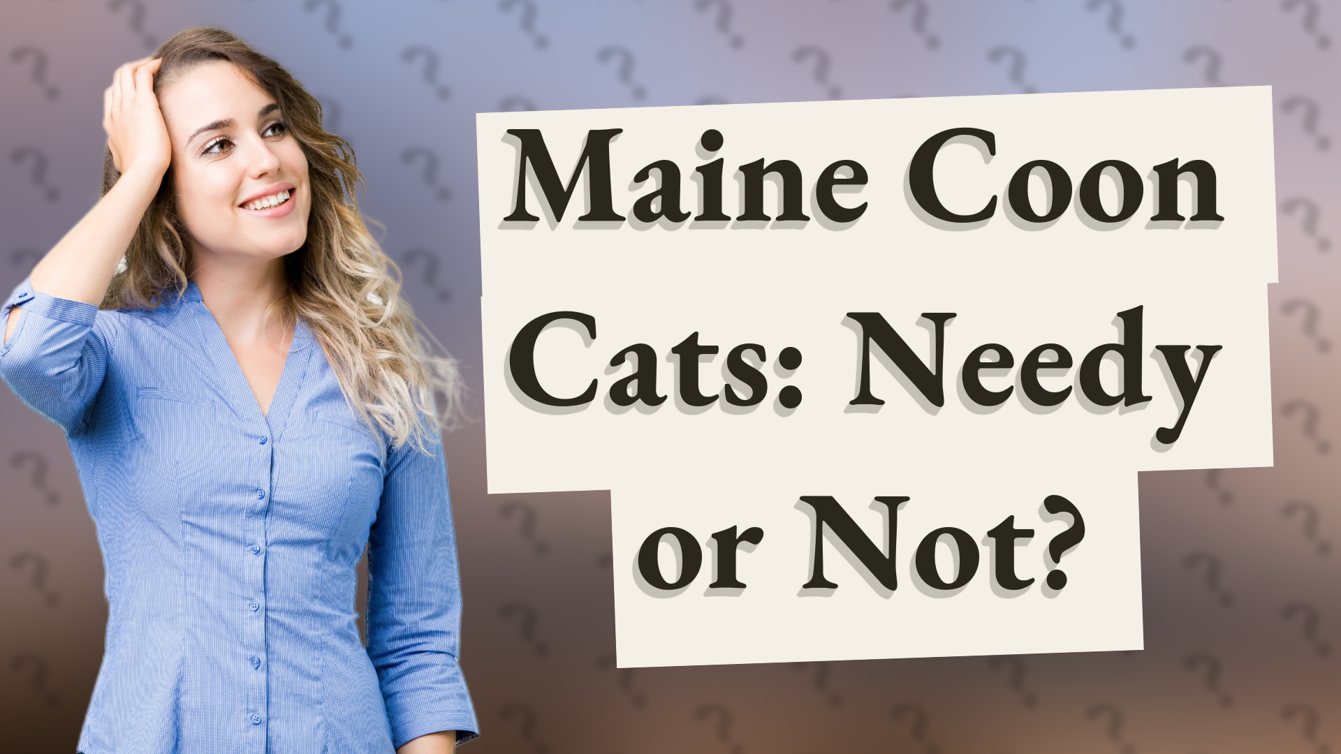 Maine Coon Cats: Needy or Not?