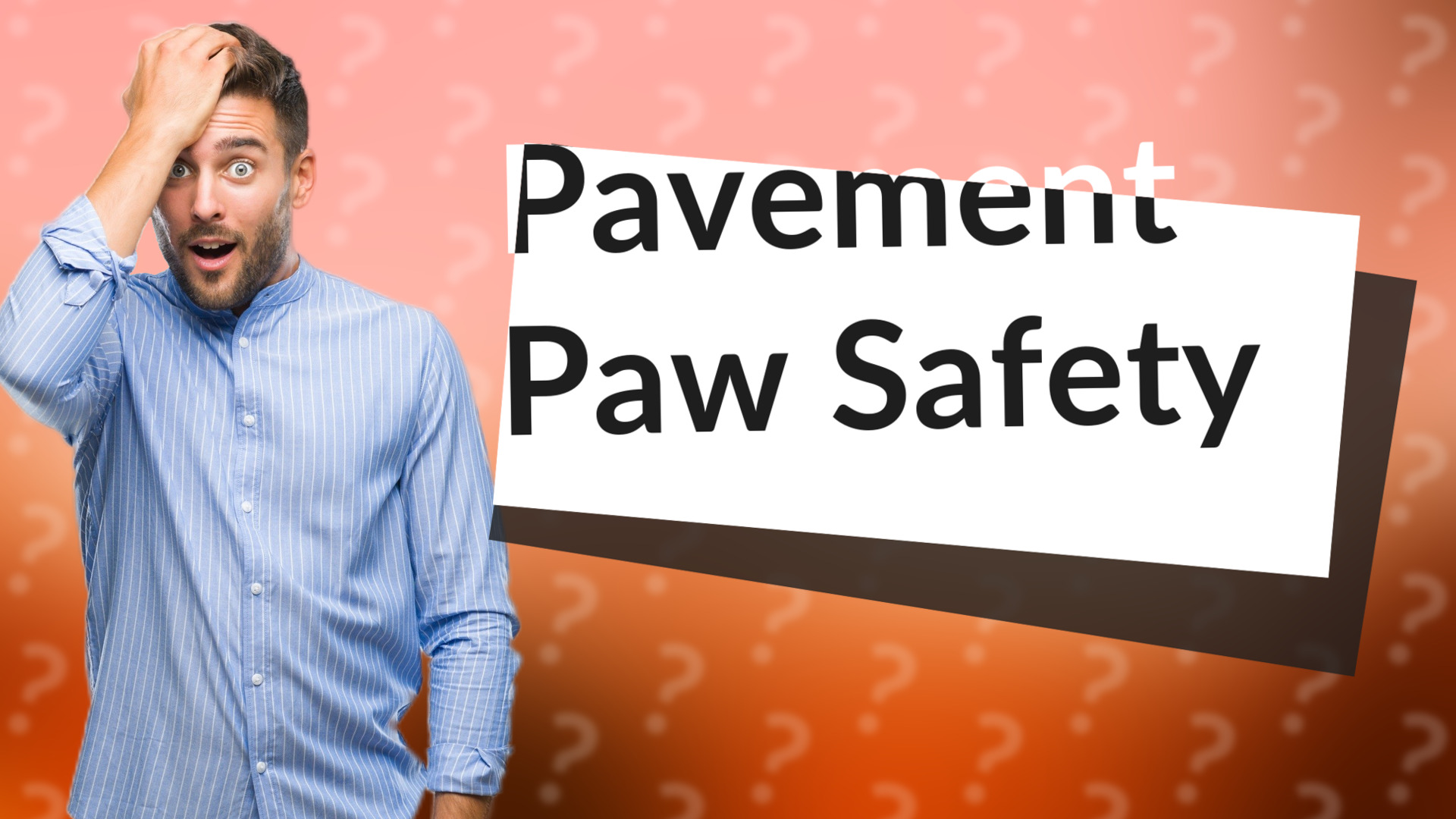 Pavement Paw Safety