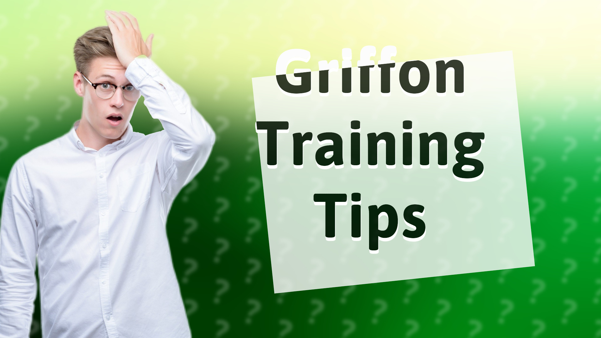 Griffon Training Tips